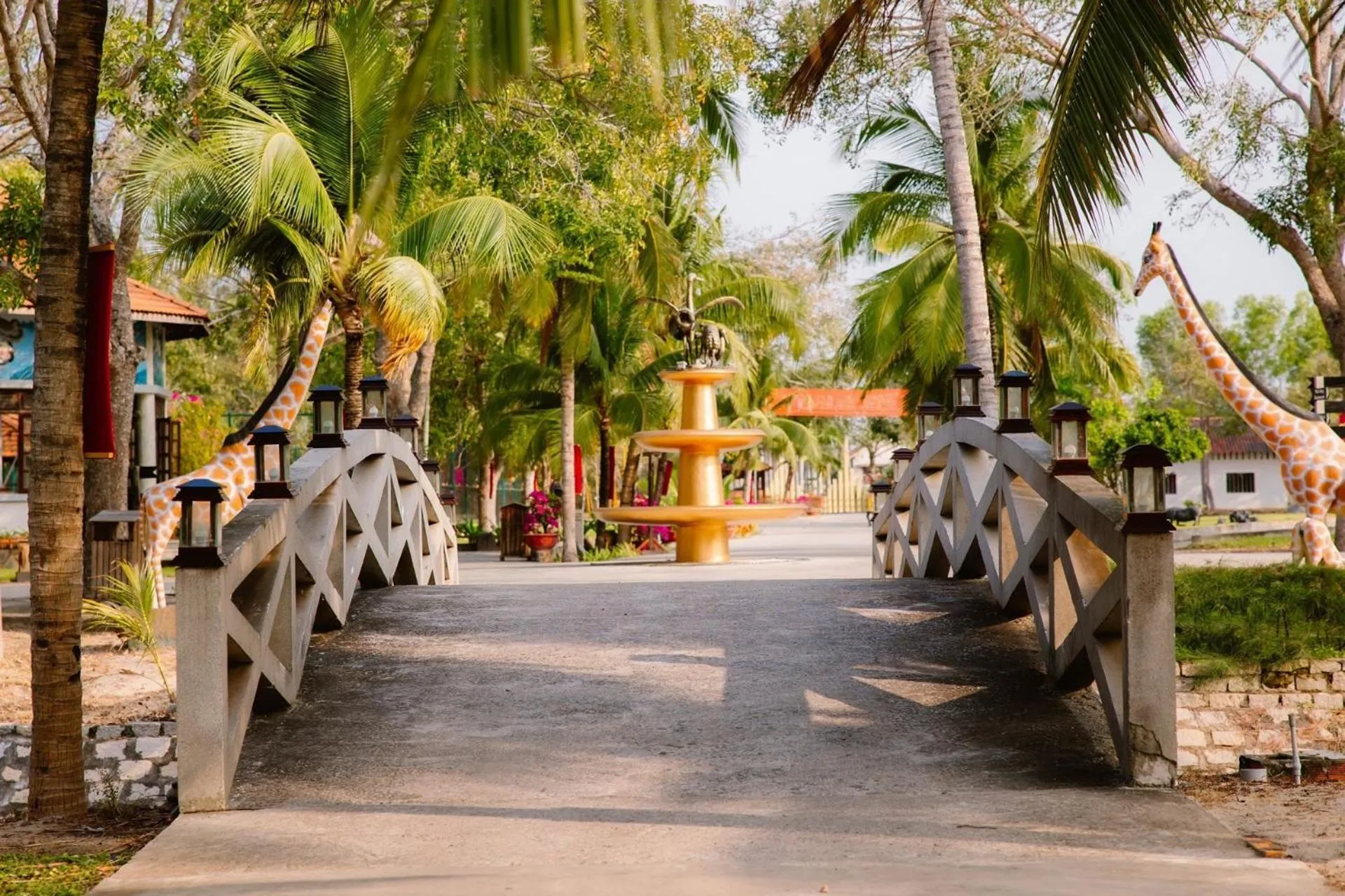Natural landscape in Dat Lanh Beach Resort
