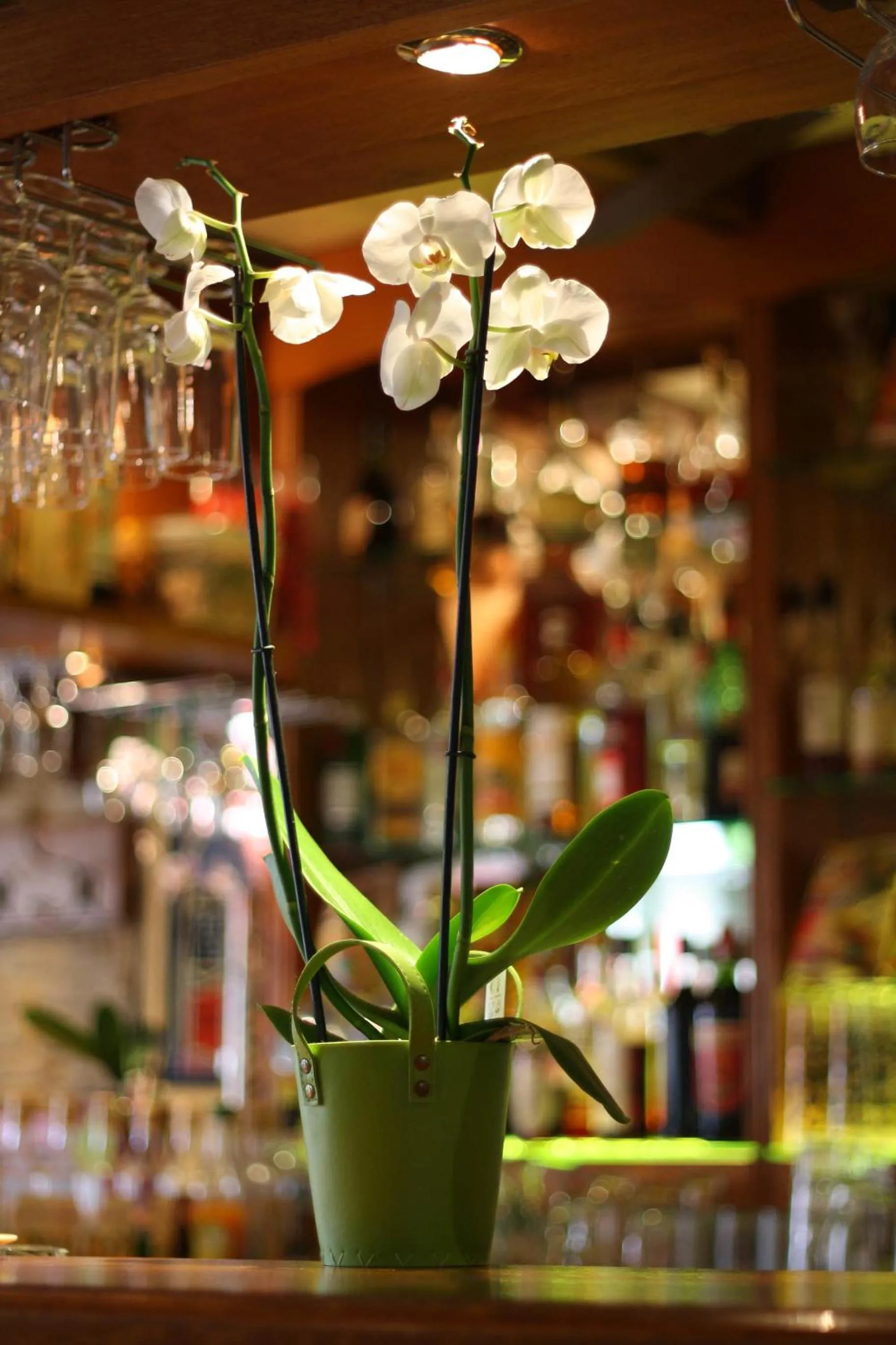 Lounge or bar in Auberge de la Fontaine