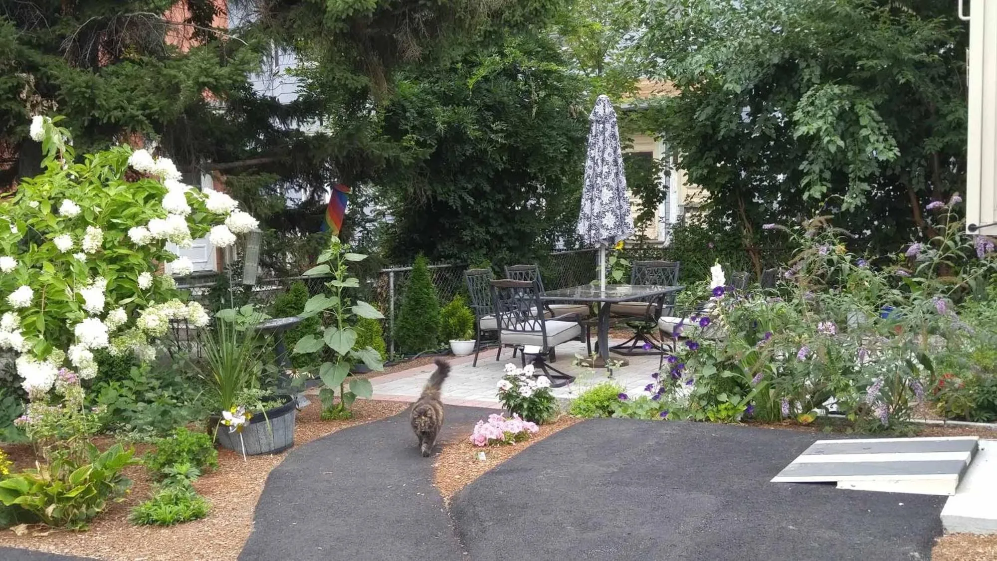 Balcony/Terrace in Davis Square Inn