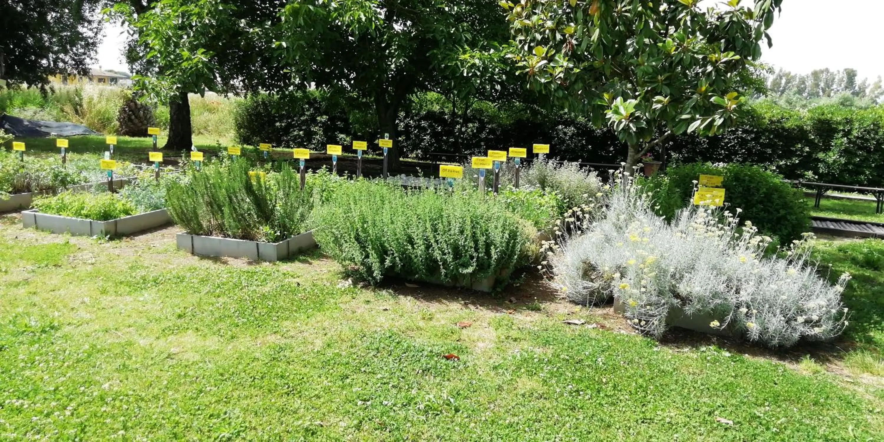 Garden in casadolcecasalatina