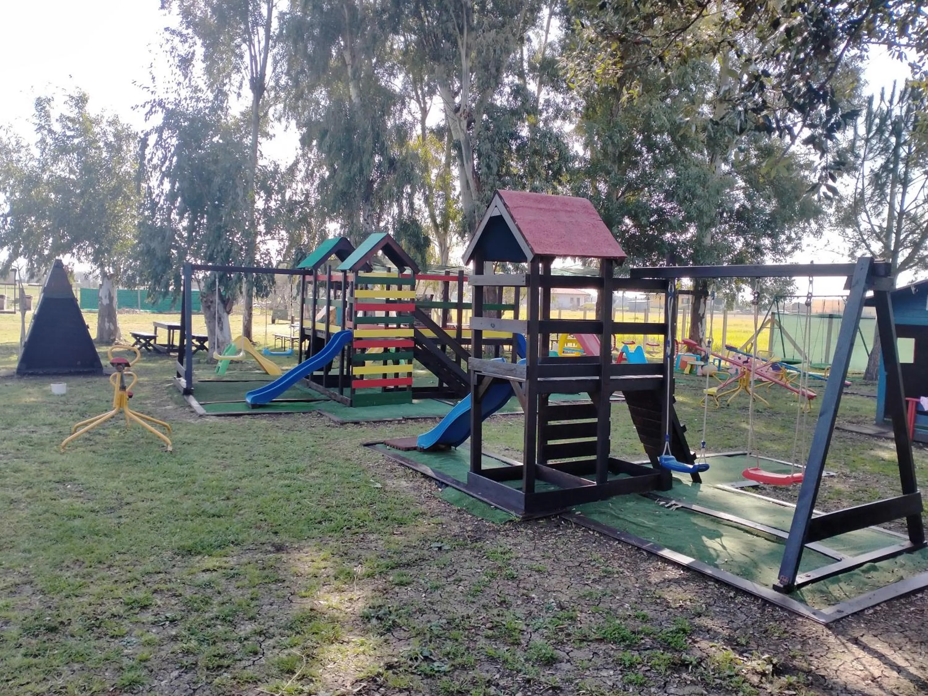 Garden in casadolcecasalatina