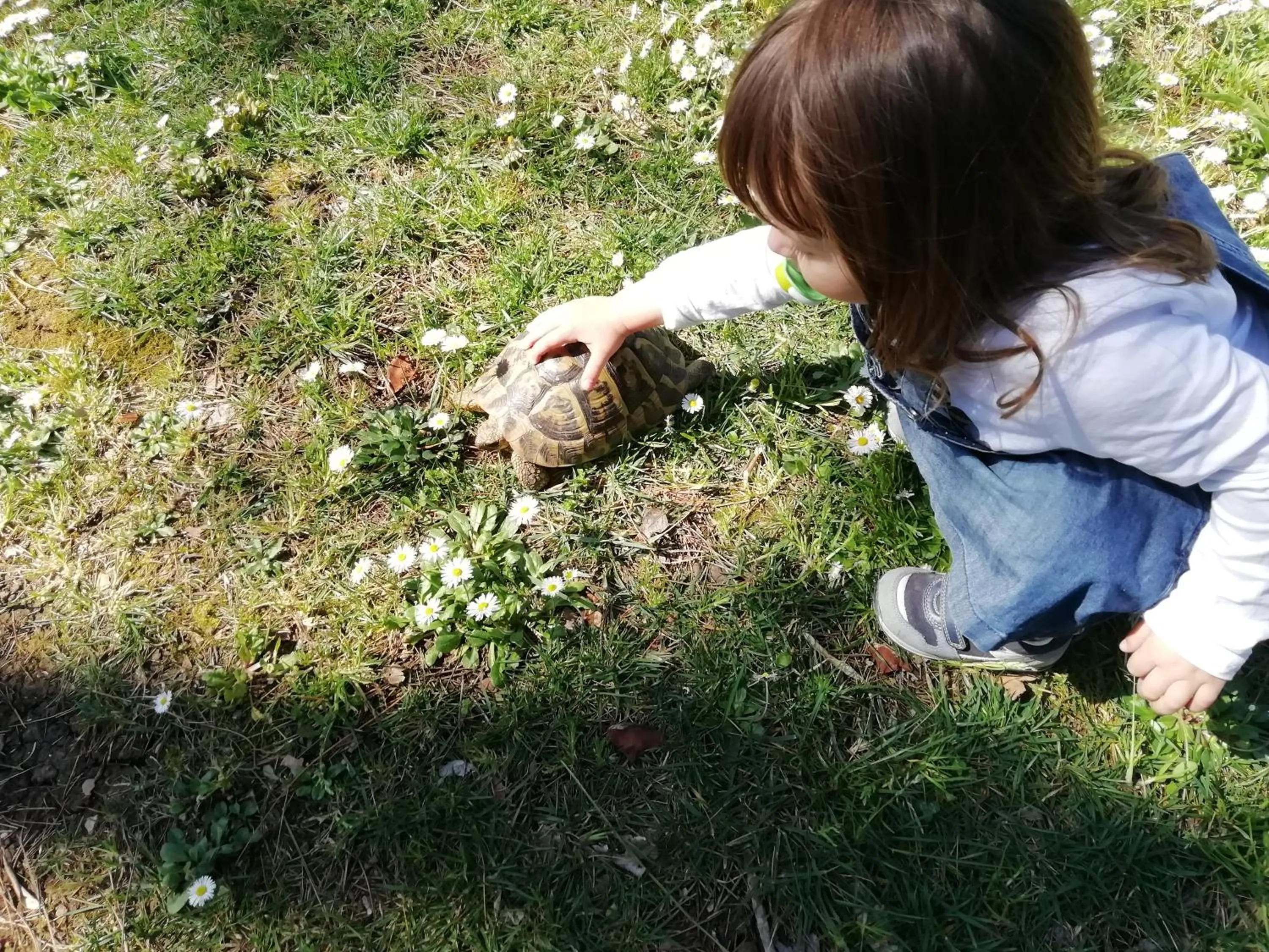 Family in casadolcecasalatina