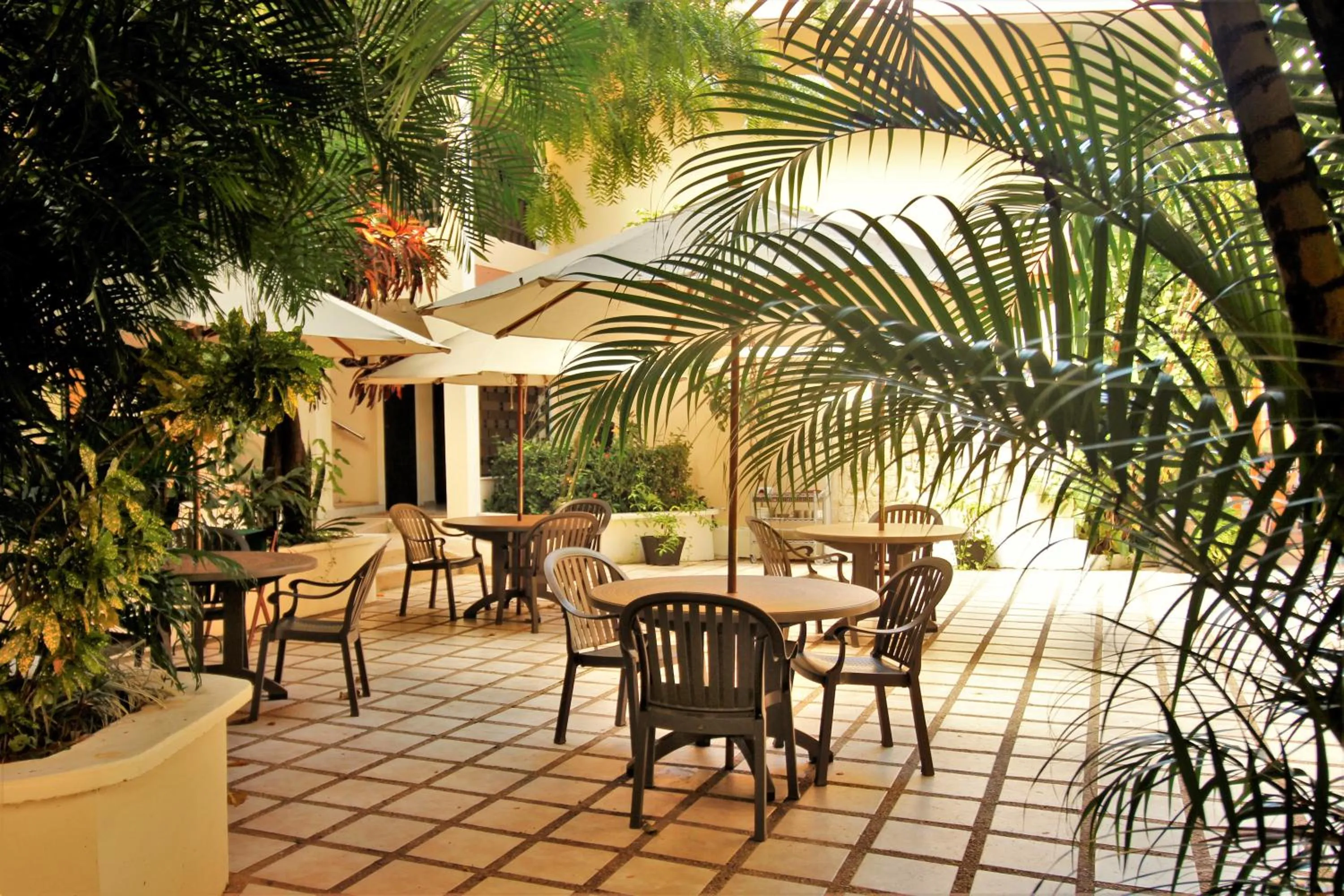 Patio in Maya Tulipanes Express