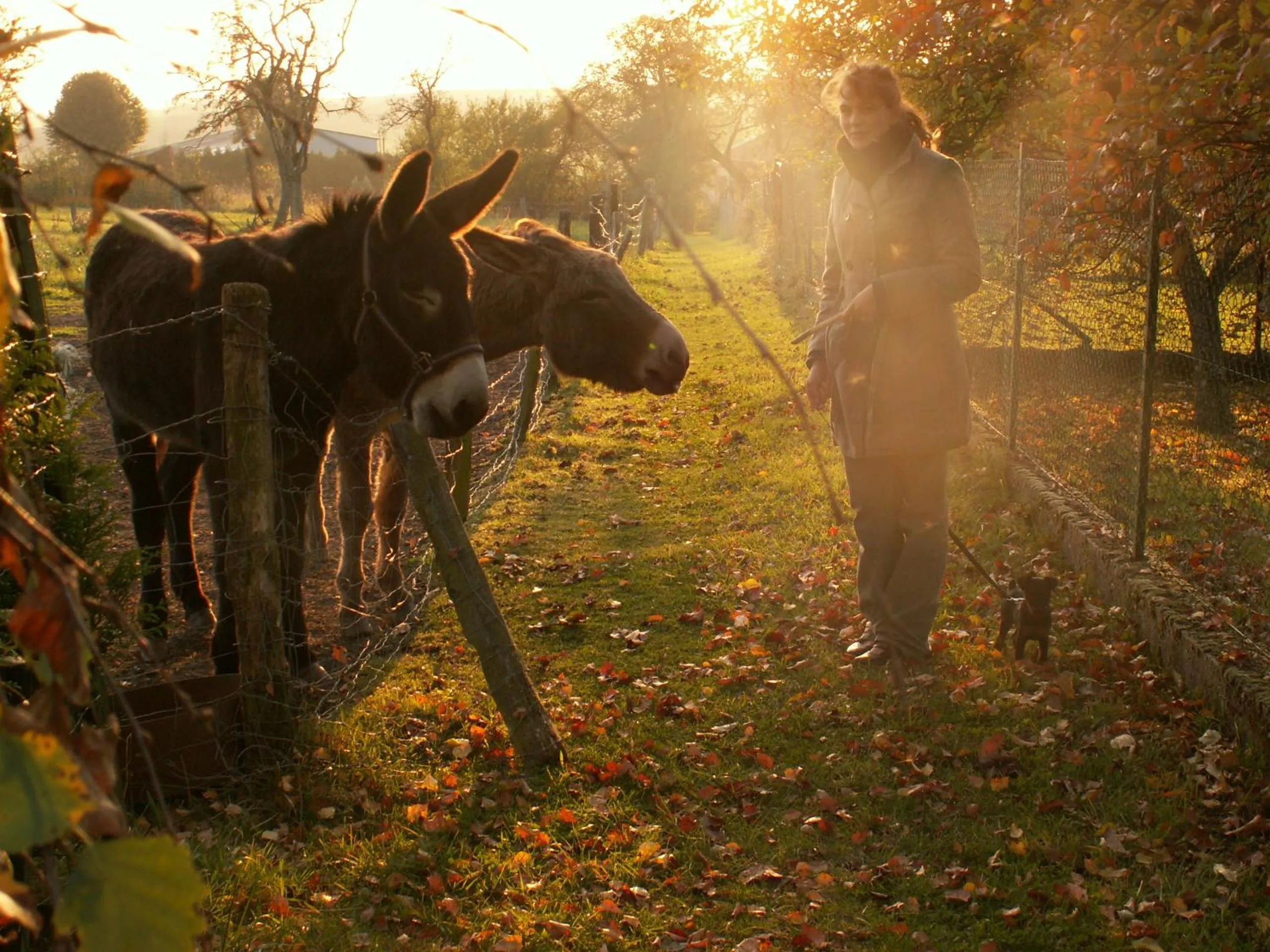 Area and facilities in Chambres d'hôtes Au presbytère