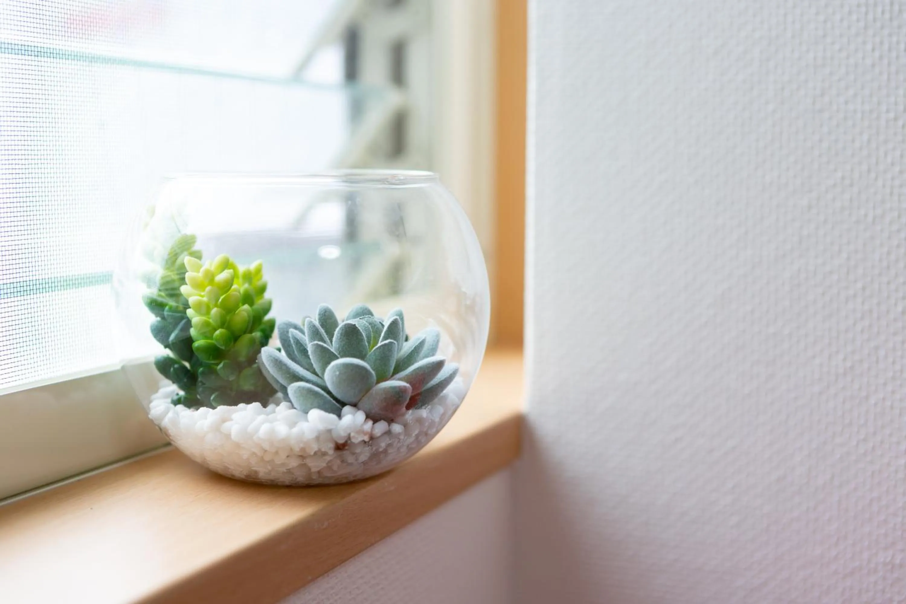 Decorative detail in ABC Guest House 2F