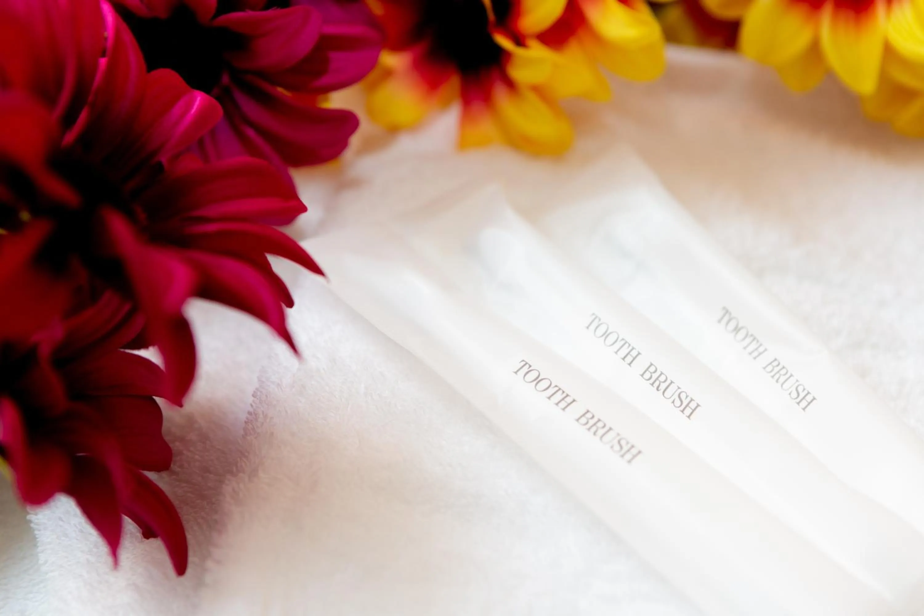 Other in ABC Guest House 2F