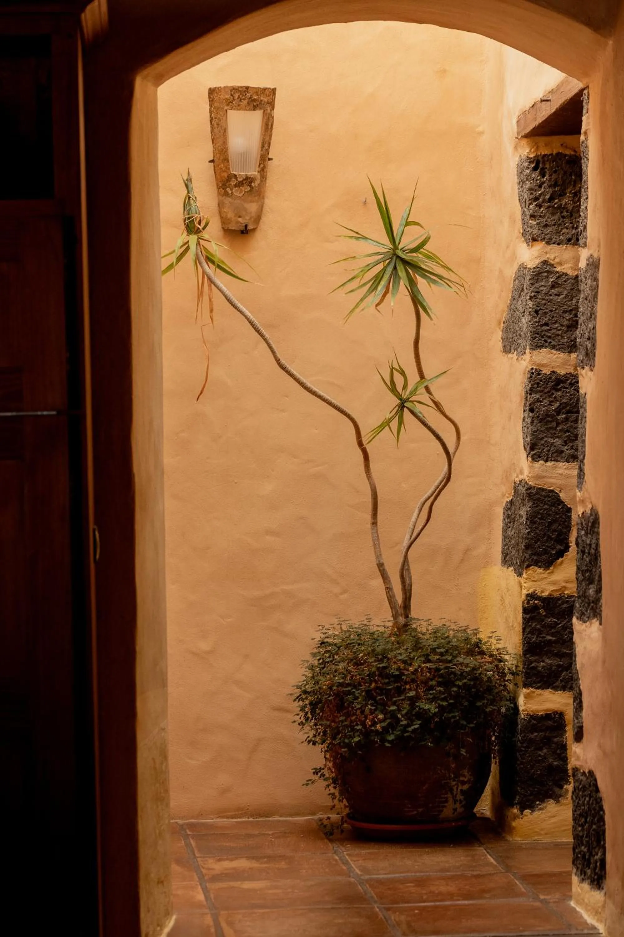 Property building in Finca Tomaren