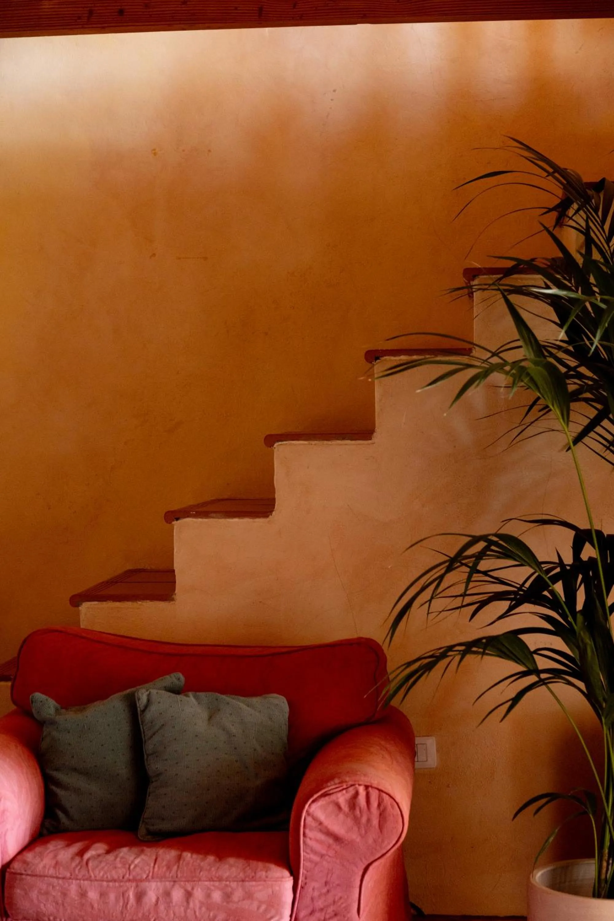 Property building in Finca Tomaren