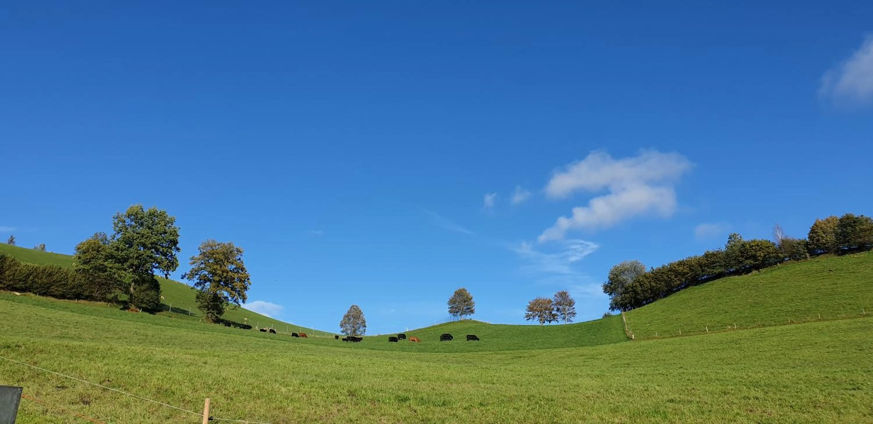 Natural landscape in Hotel Matt