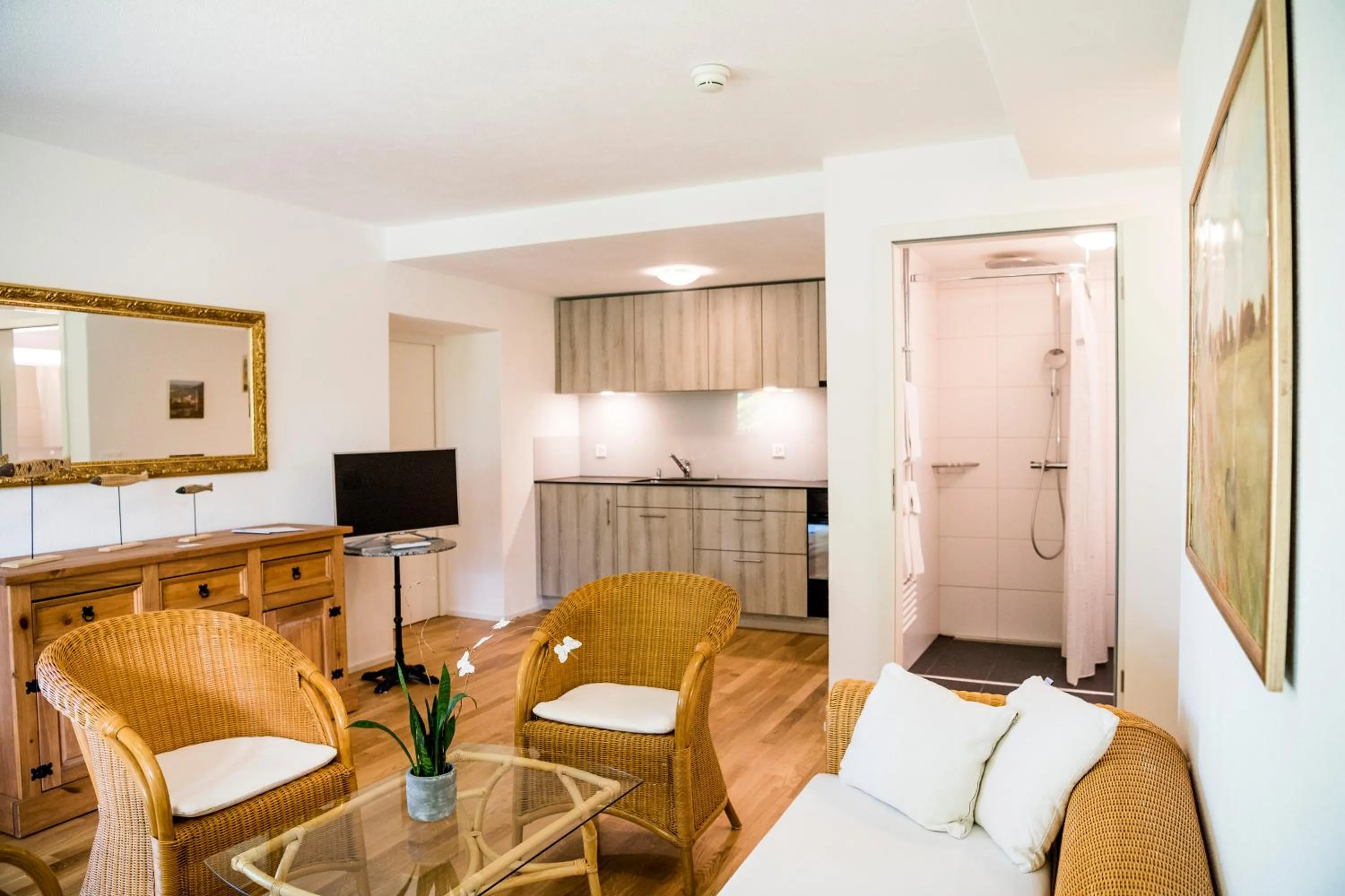 Kitchen or kitchenette in Hotel Matt