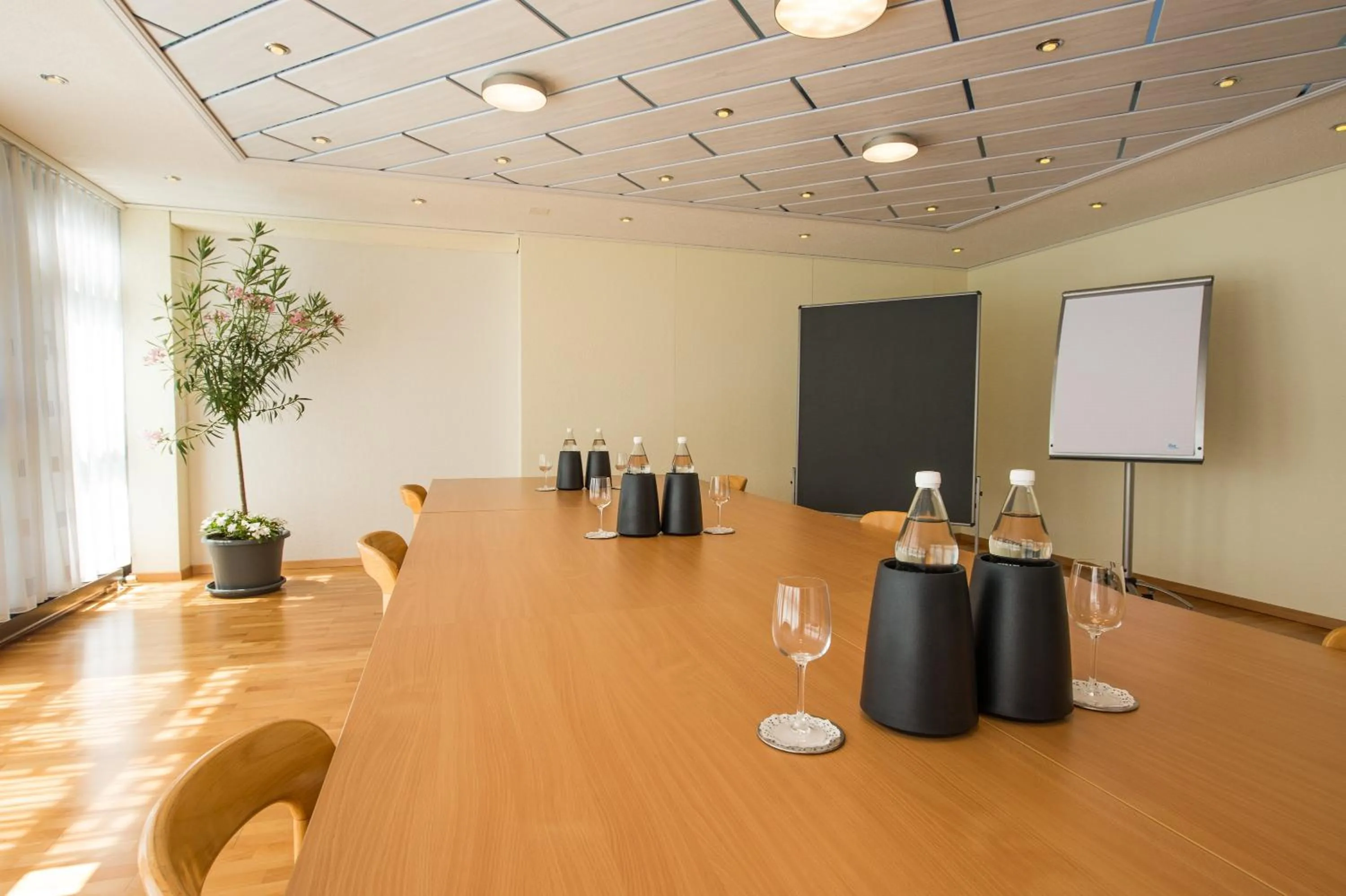 Meeting/conference room in Hotel Matt