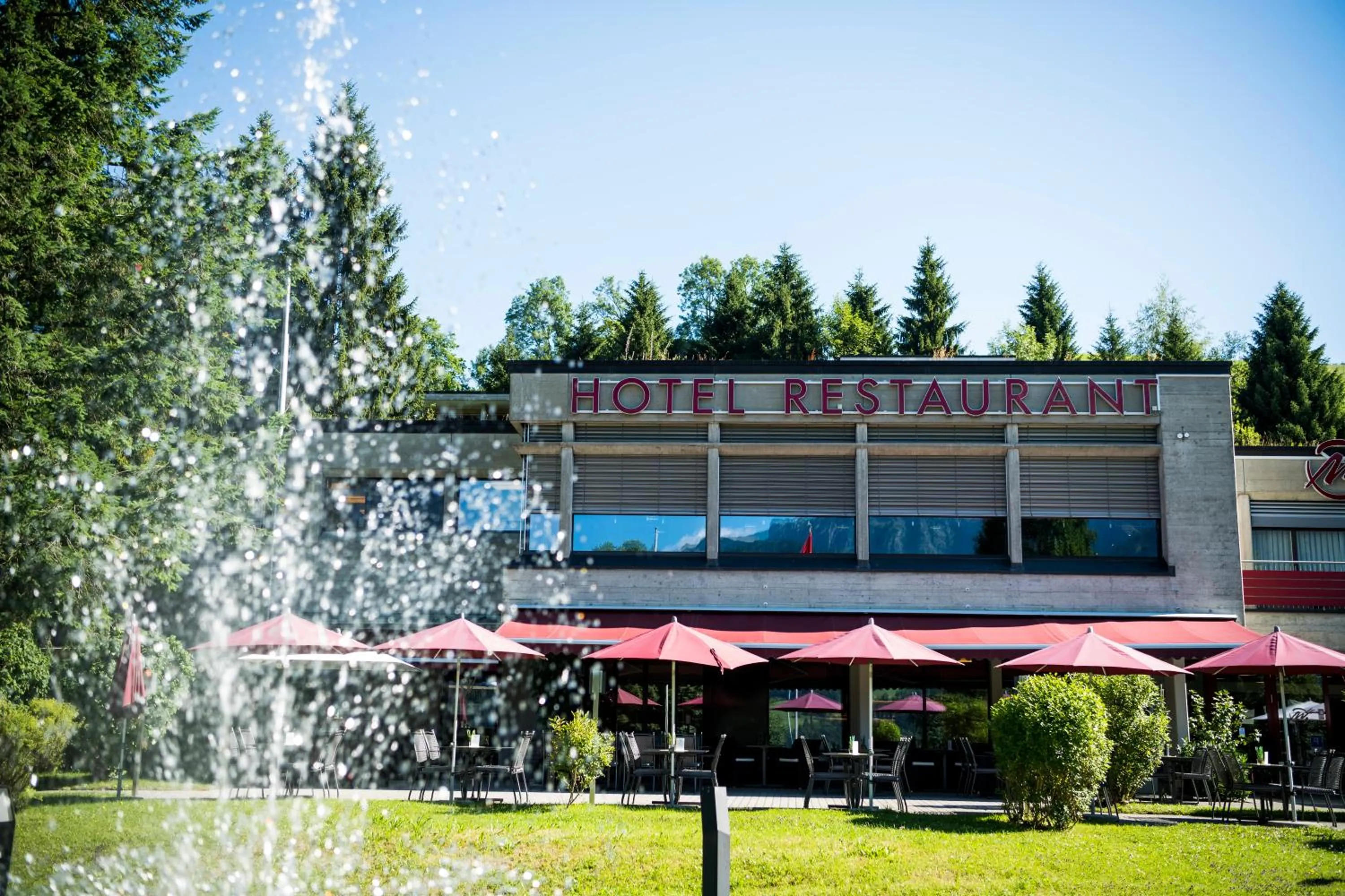 Garden in Hotel Matt