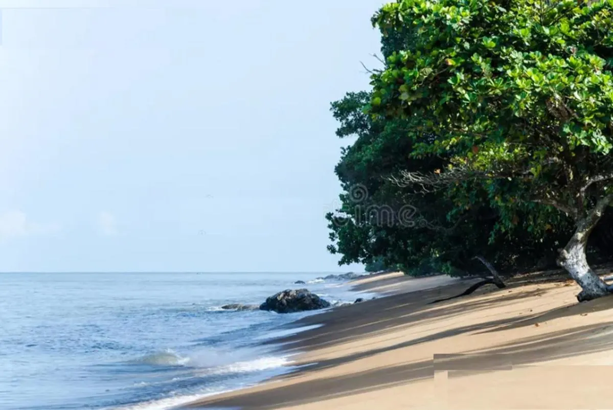 Beach in Hôtel Restaurant Gites Kribi