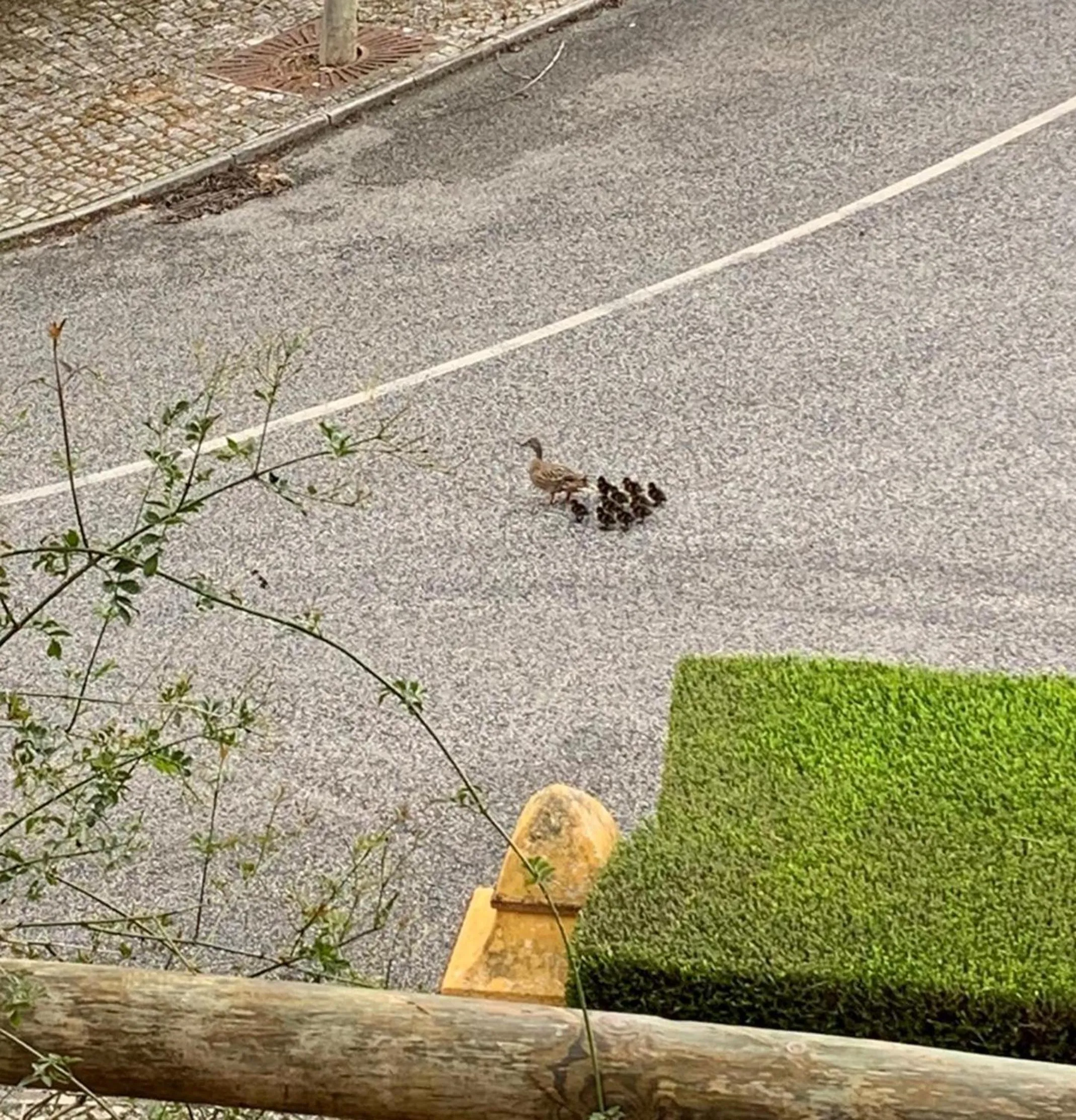 Parking in Casa de Santo Amaro