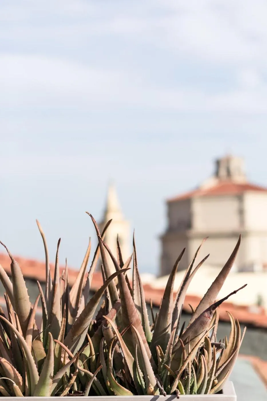 Balcony/Terrace in Agave in Città