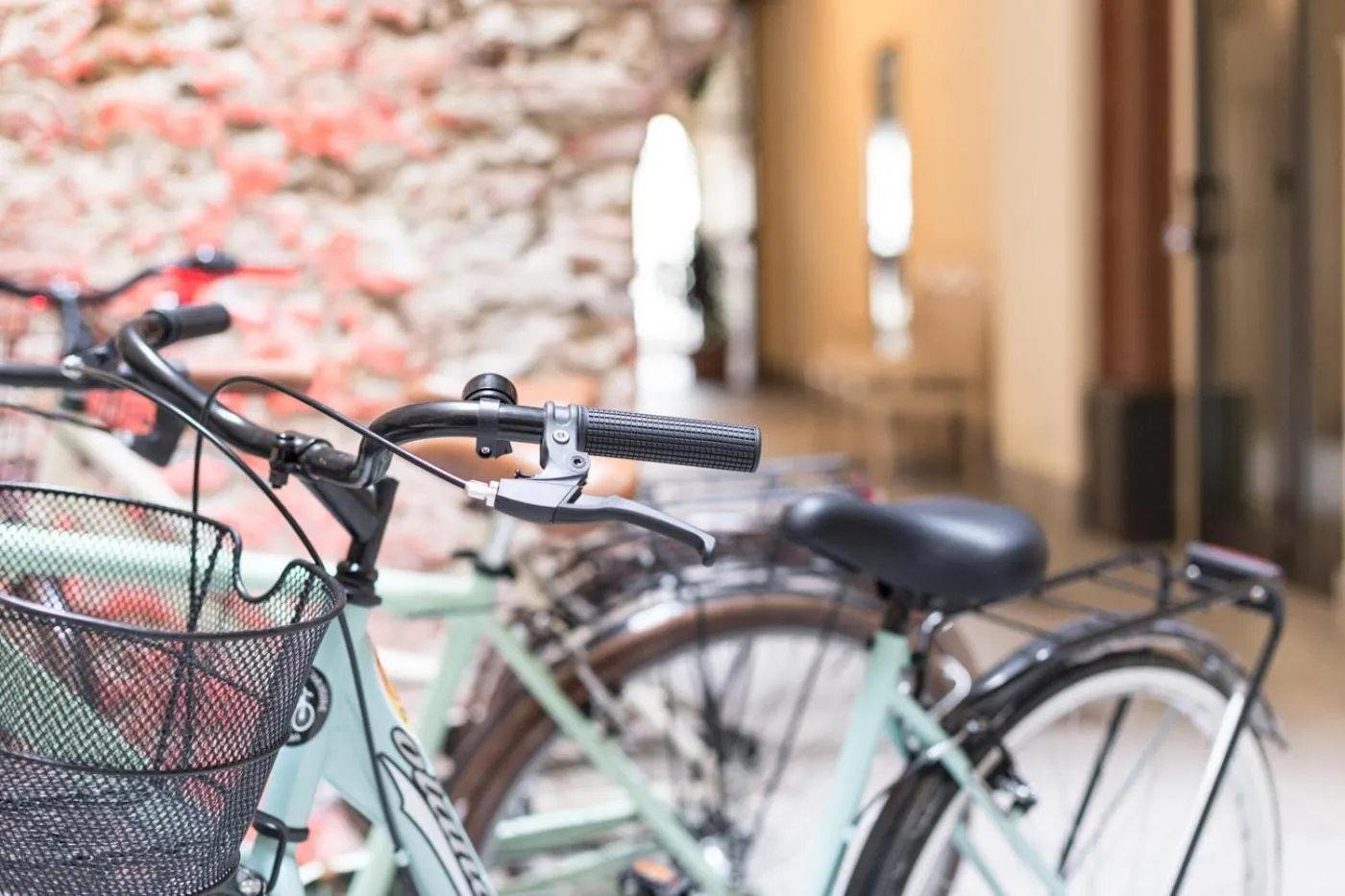 Activities in Agave in Città