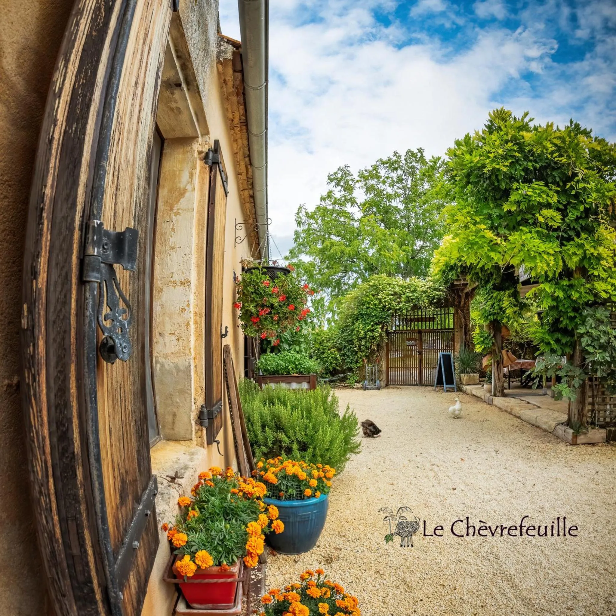 Le Chevrefeuille chambres d'hotes et gîtes de charme