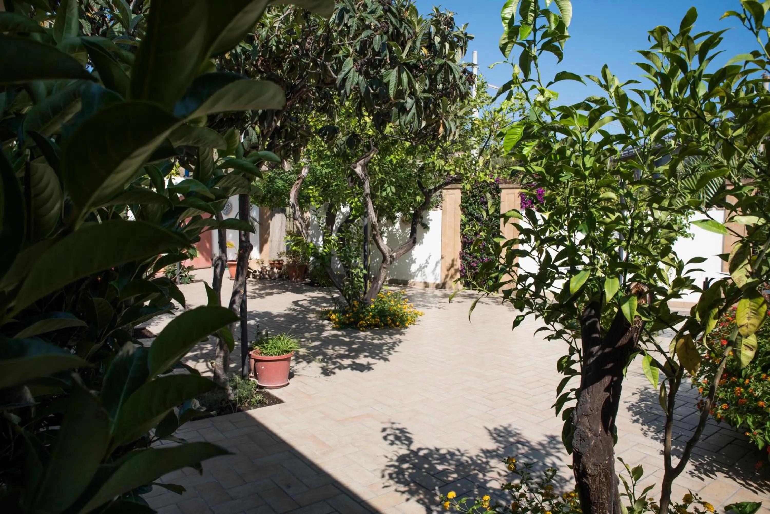 Garden in L'Albero