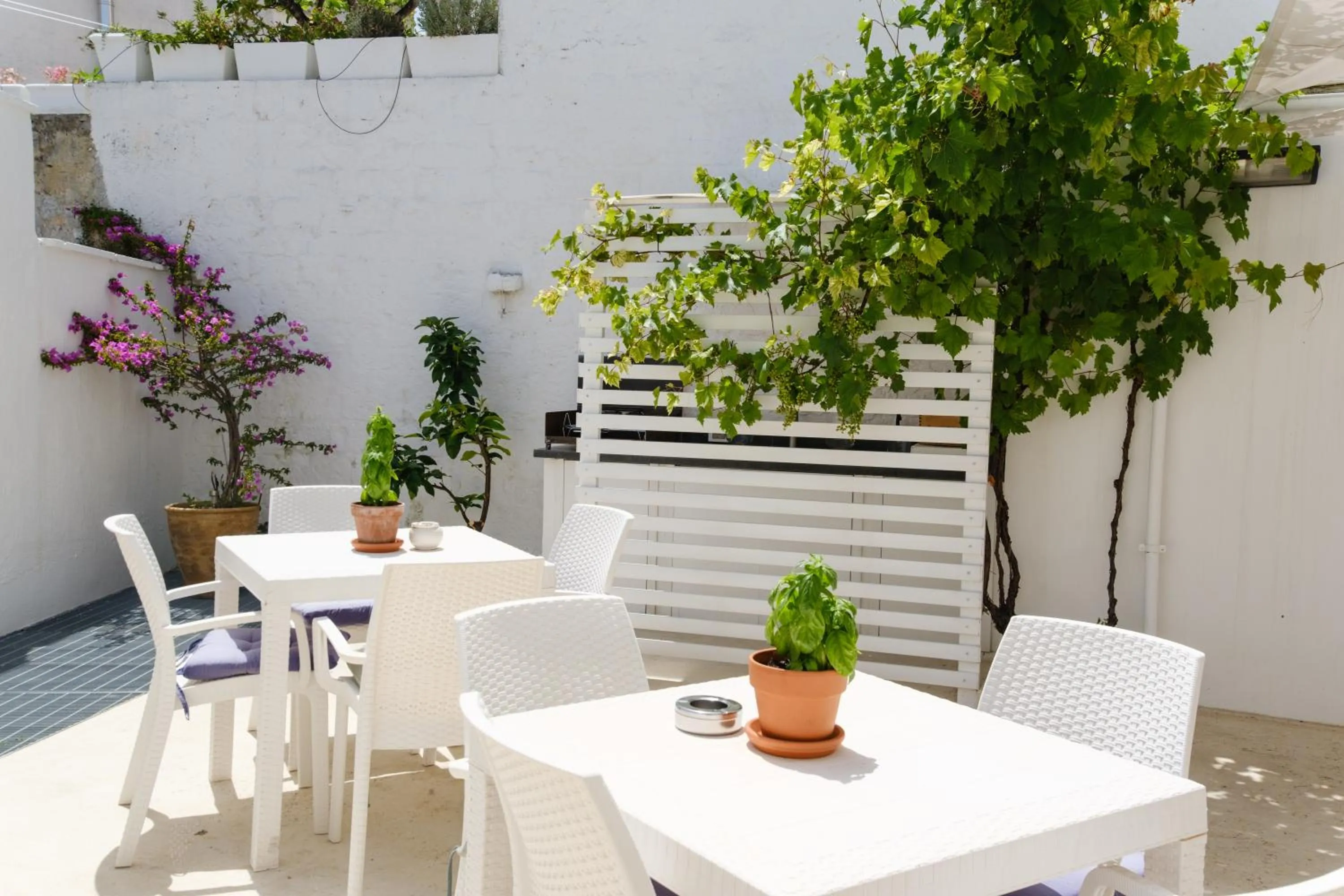 Garden in Welcome Ostuni b&b