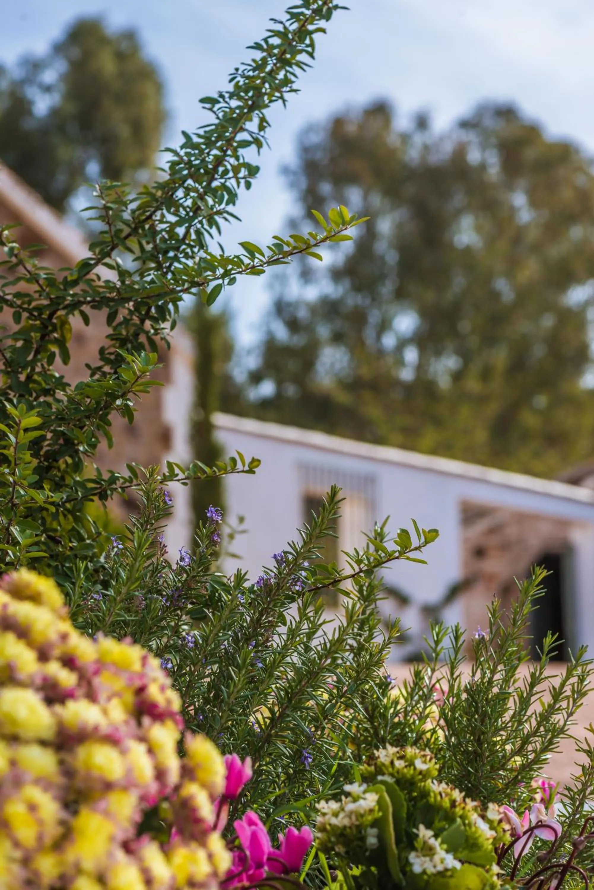 Garden in Balneario Aguas de Villaharta