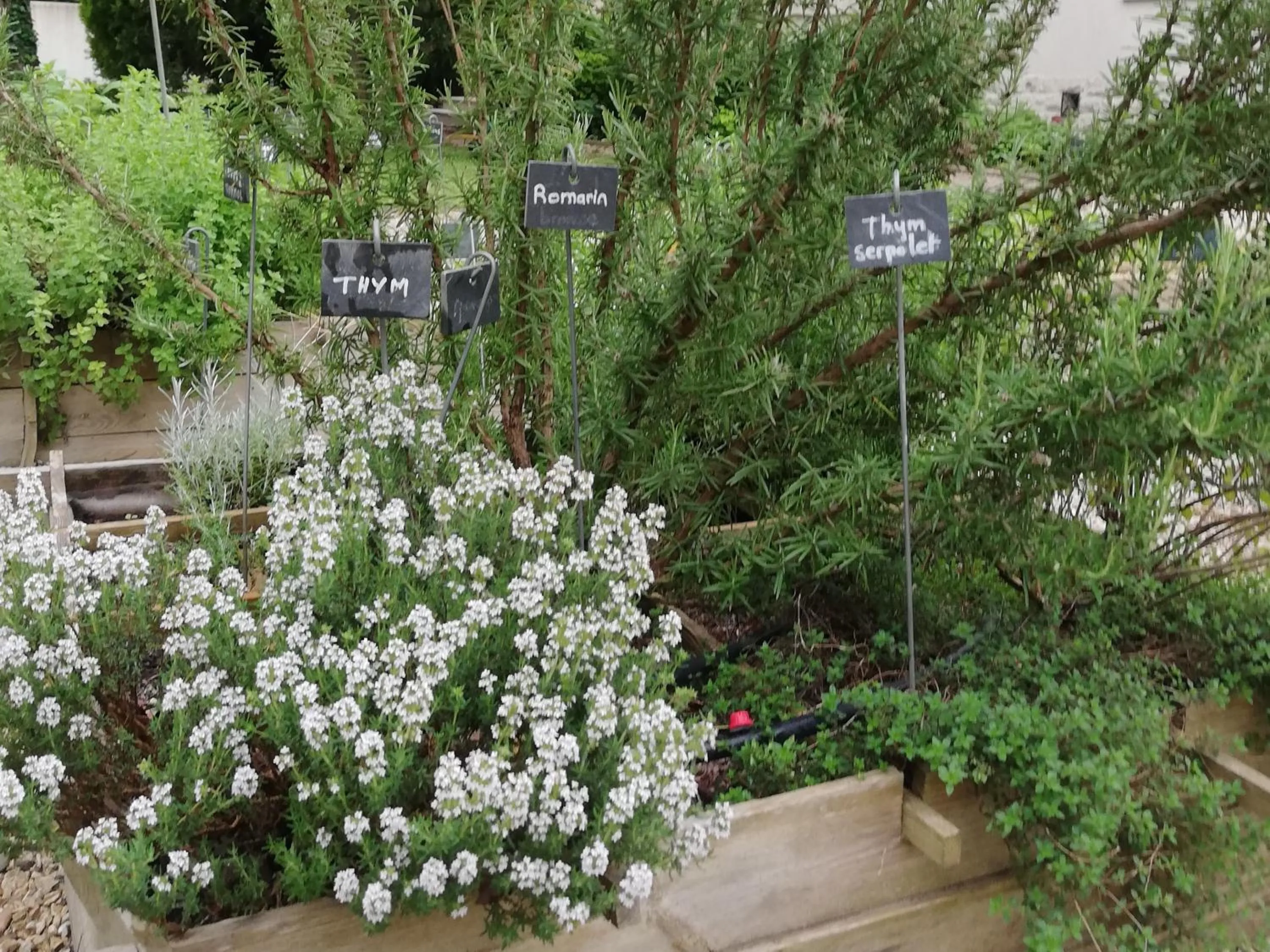 Garden view in La Goutadou