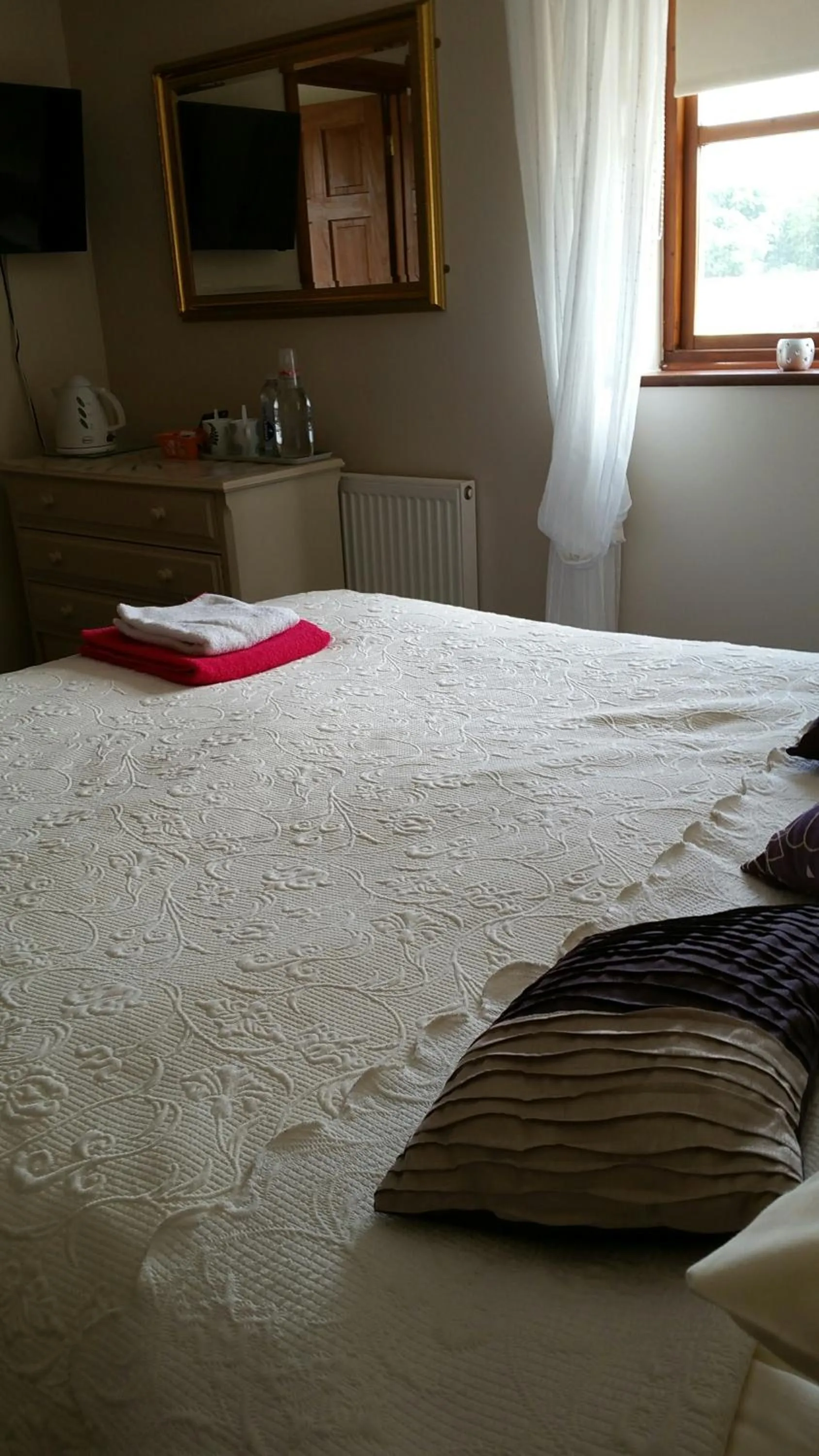 Other in Great Danes Licenced Guesthouse