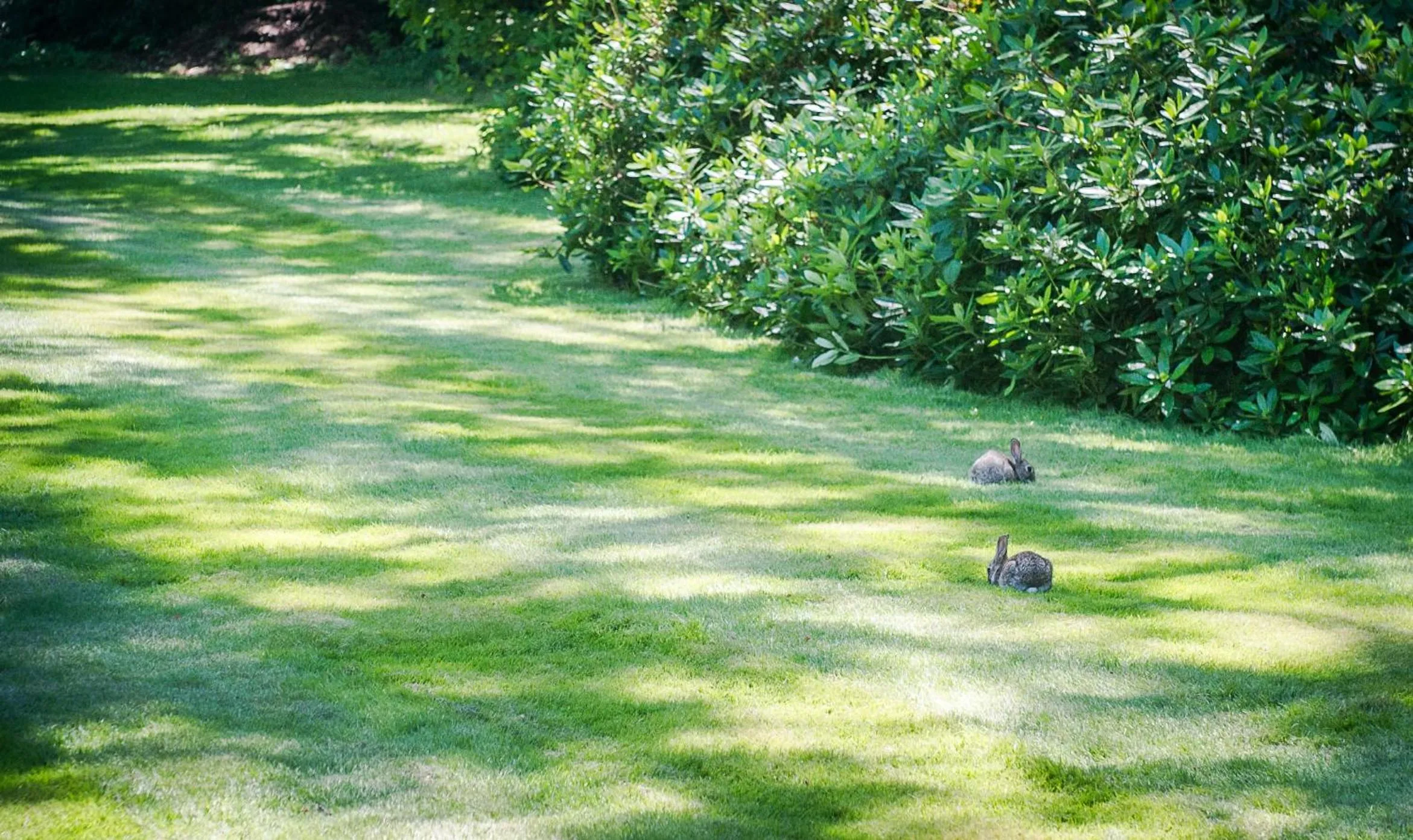 Garden in Claverton Country House Hotel
