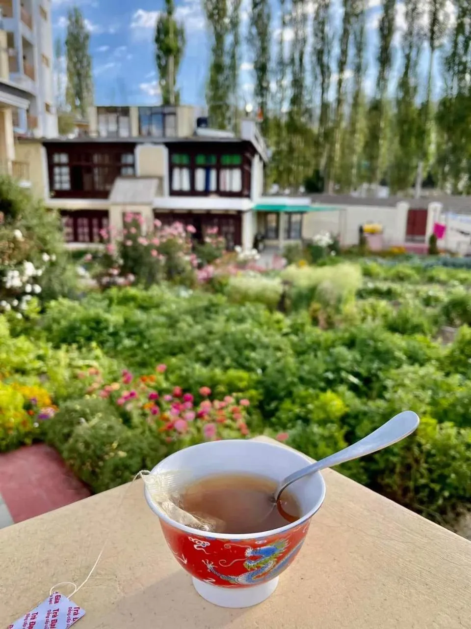 Garden in Zaltak Guest House and Hostel