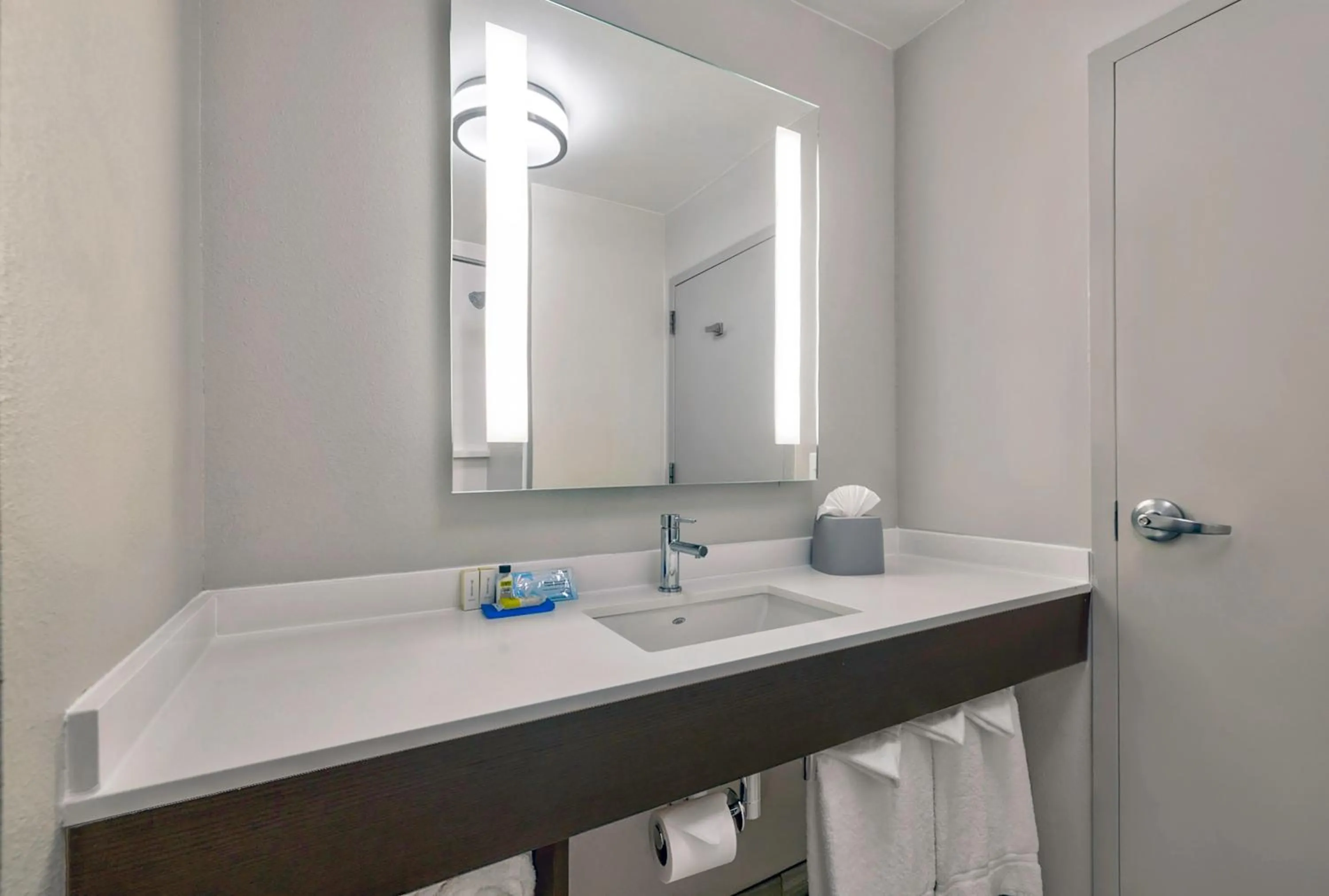 Bathroom in Holiday Inn Express & Suites Kansas City Airport by IHG
