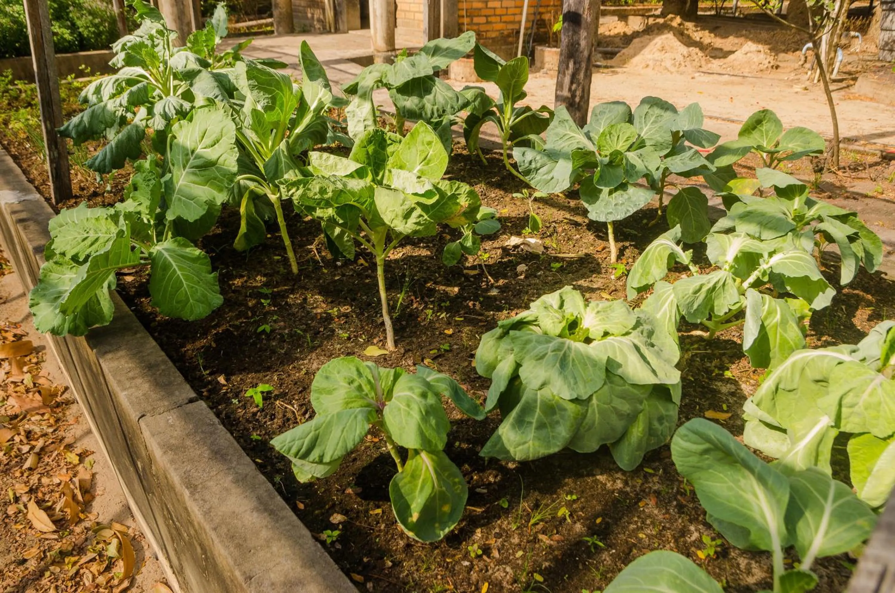 Porto Preguiças Resort