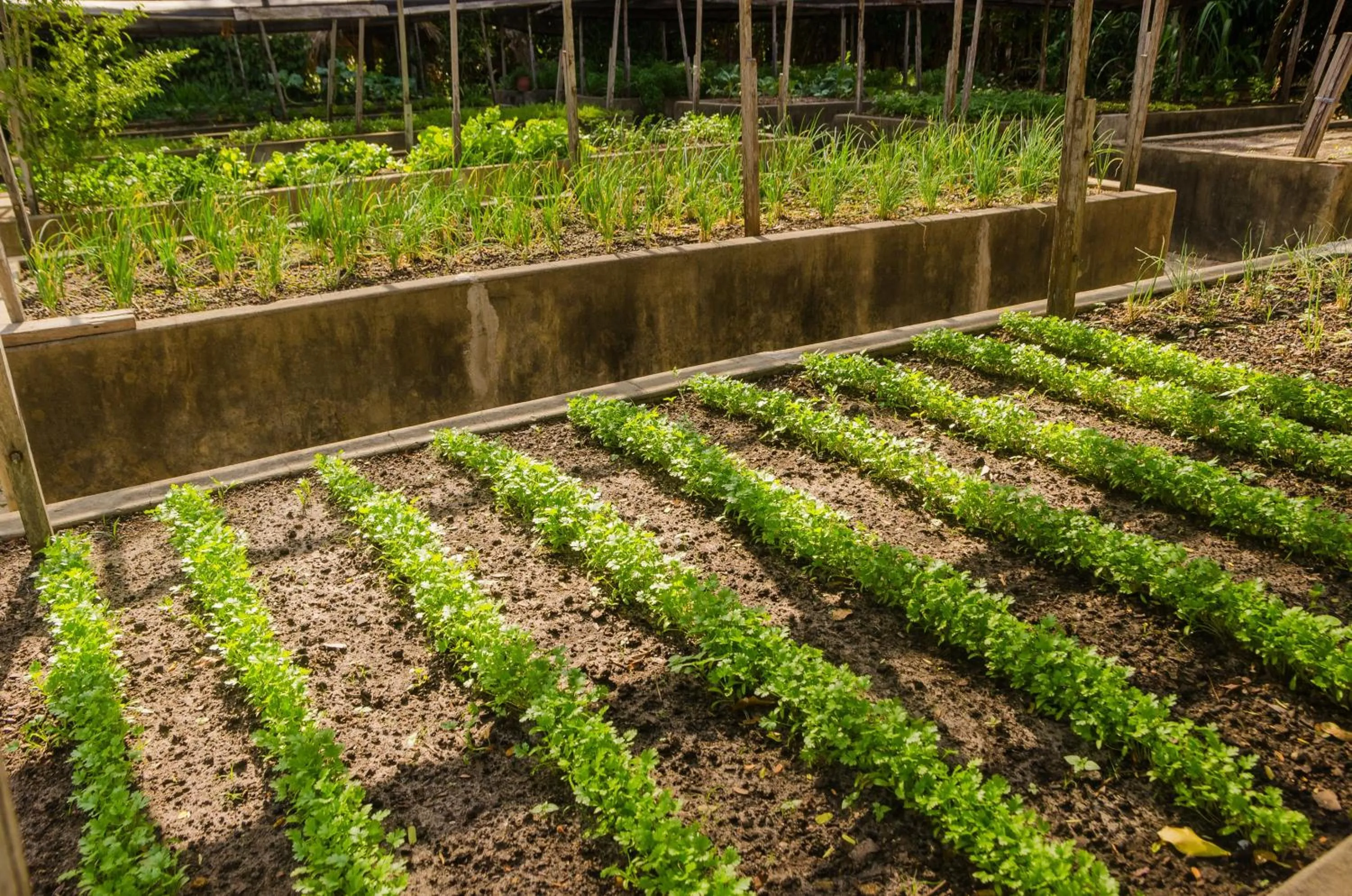 Porto Preguiças Resort