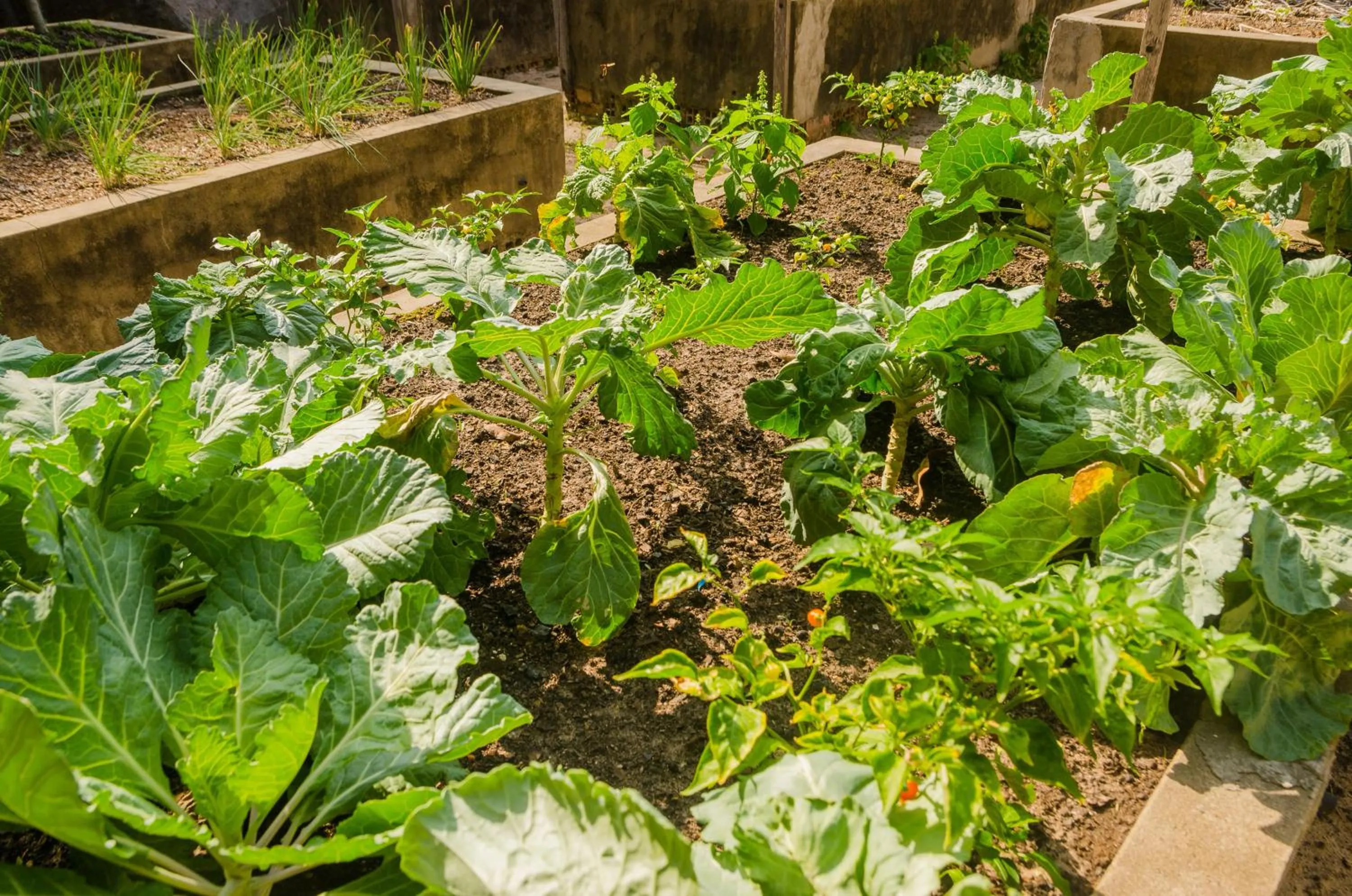 Porto Preguiças Resort