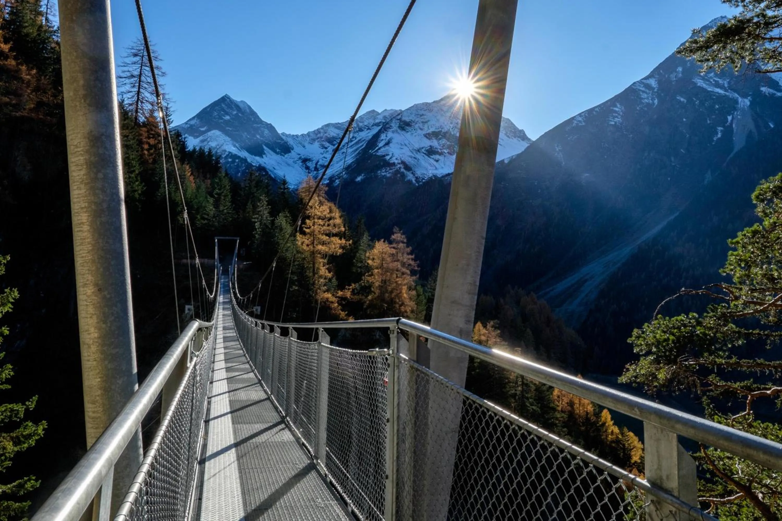 Natural landscape in Hotel Stern