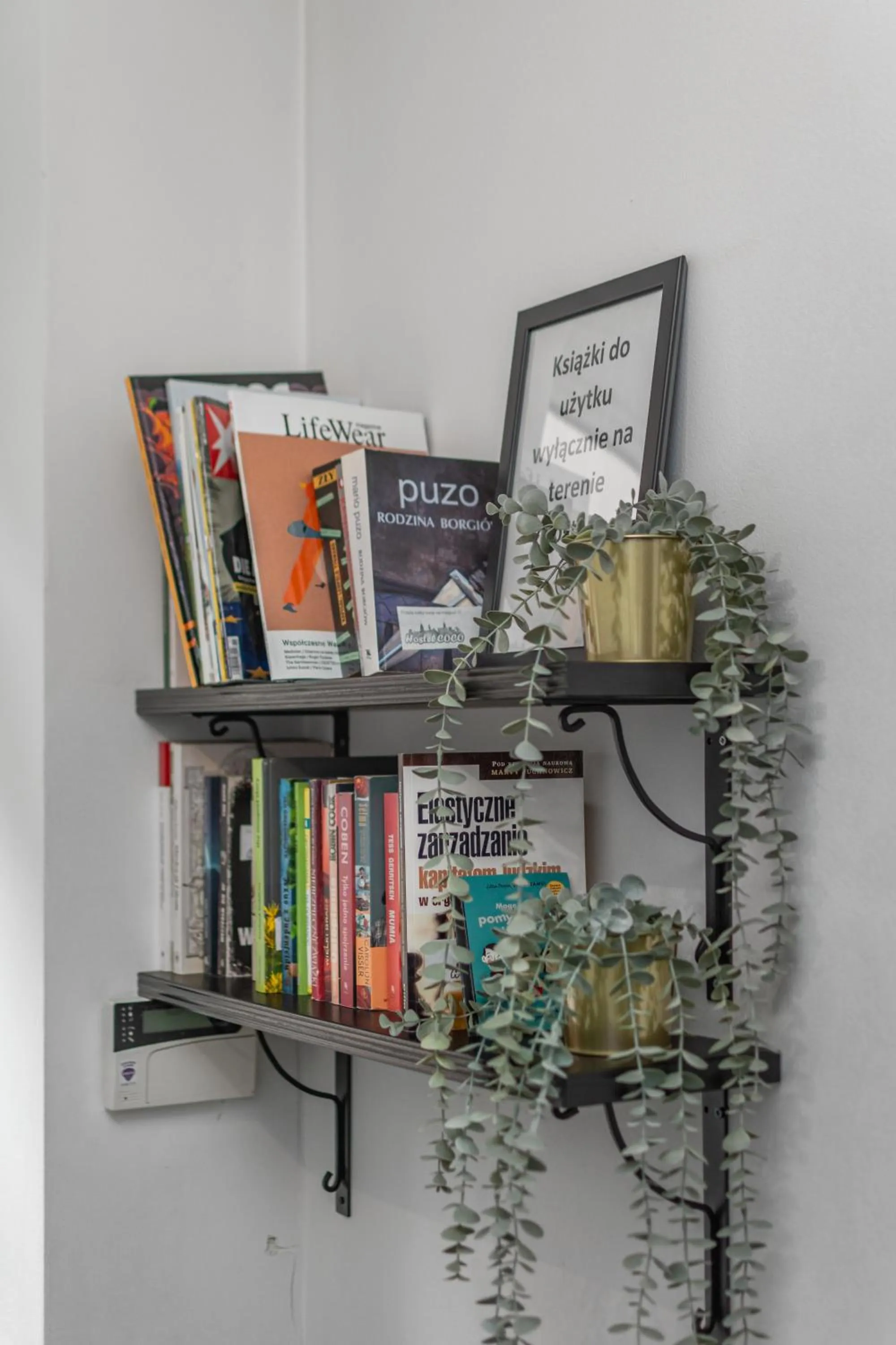 Library in Hostel Coco