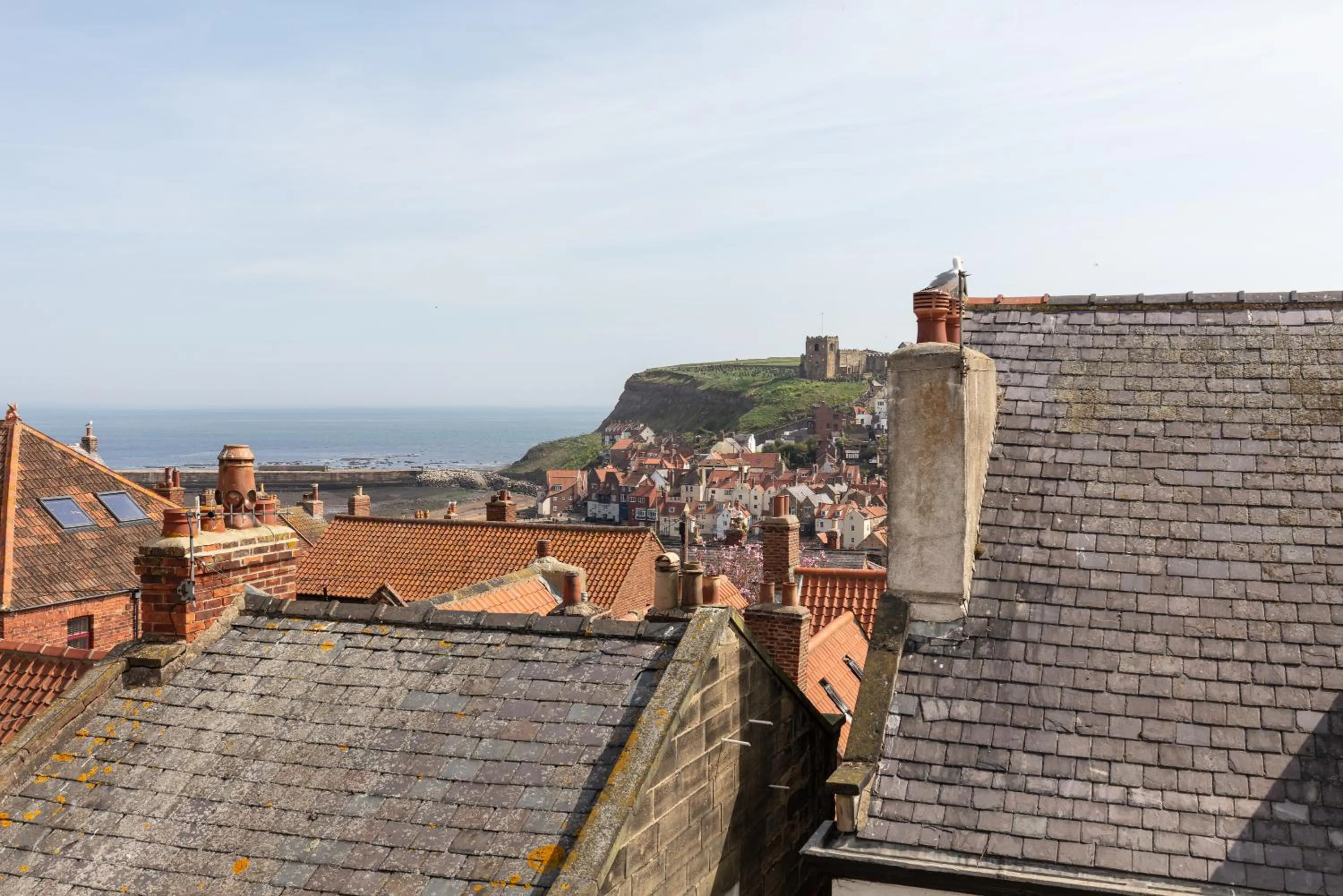 View (from property/room) in Discovery Accommodation