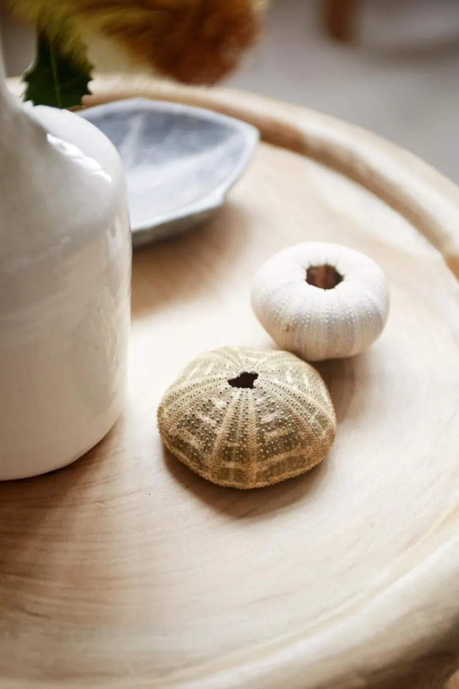 Living room in Stunning Flourish ON Bull