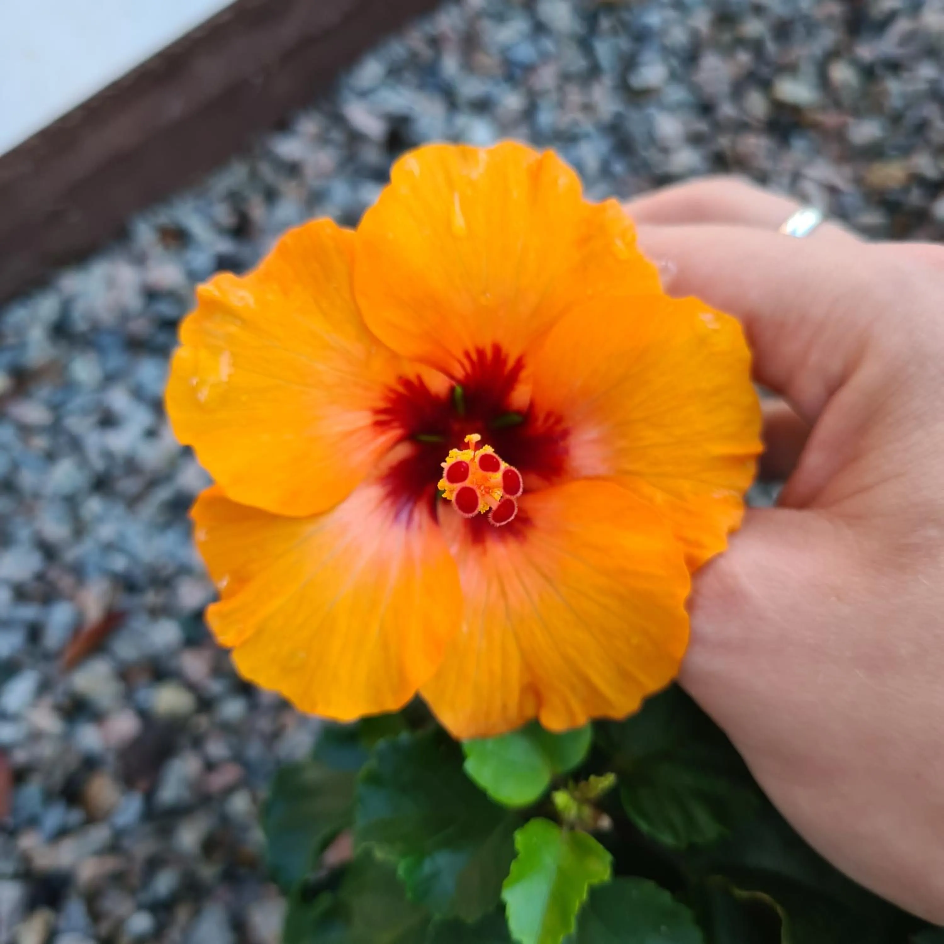 Decorative detail in Pousada Doce Mar