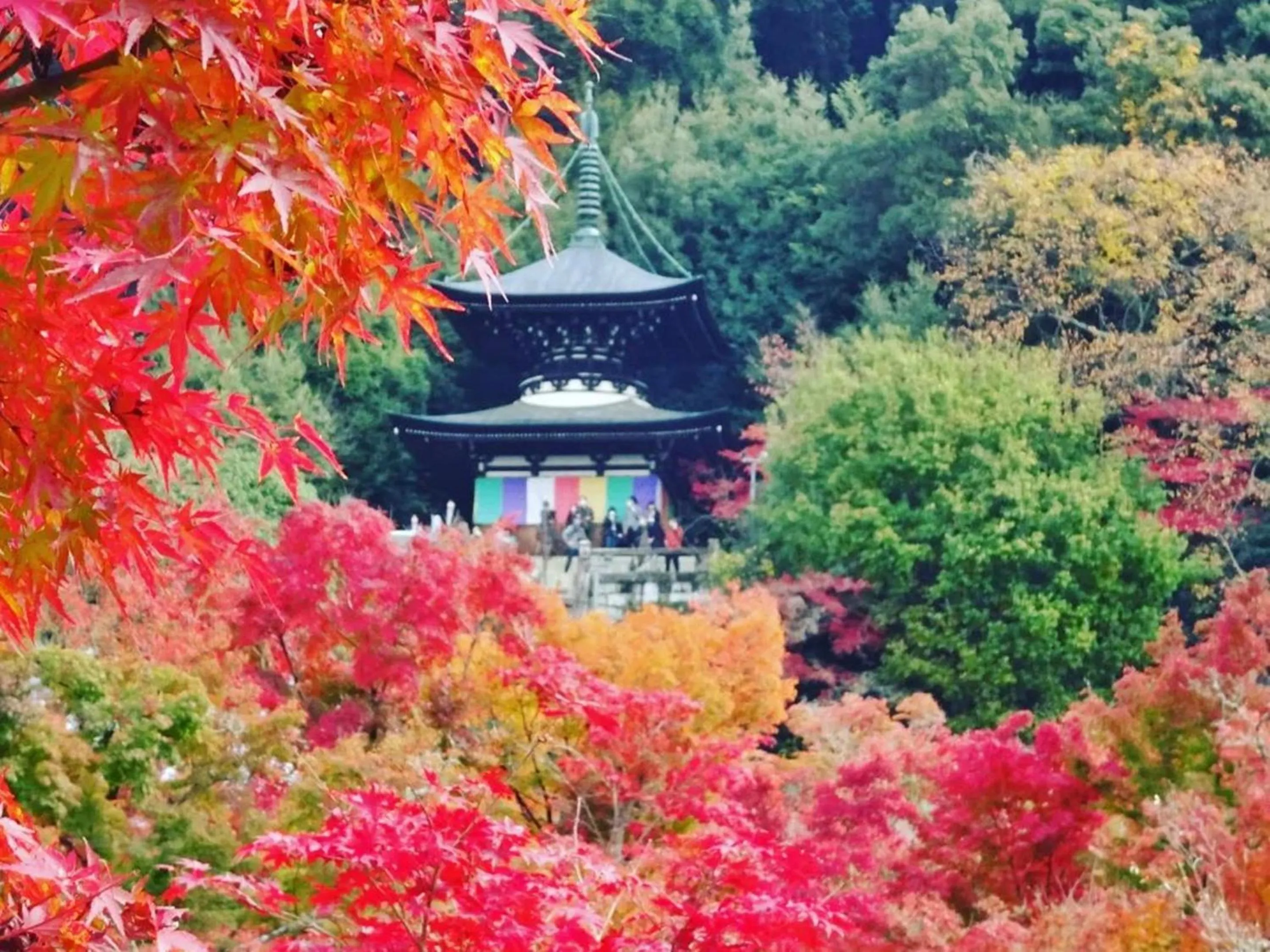 Nearby landmark in Yamamoto Ryokan