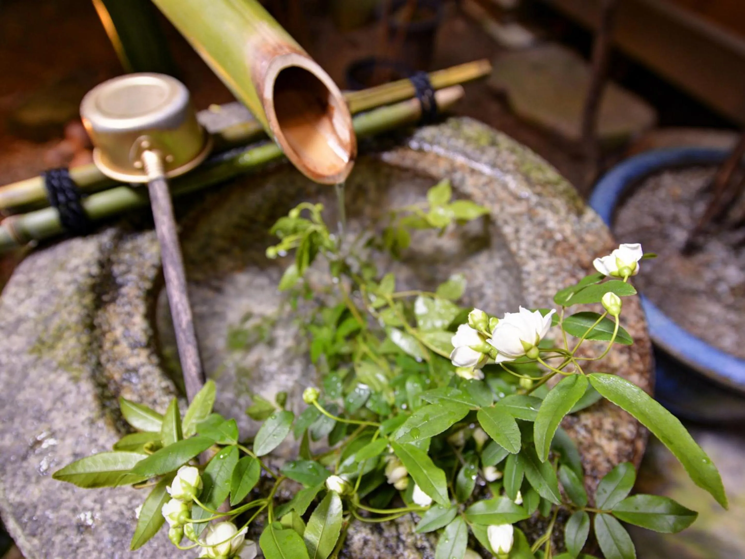 Area and facilities in Yamamoto Ryokan