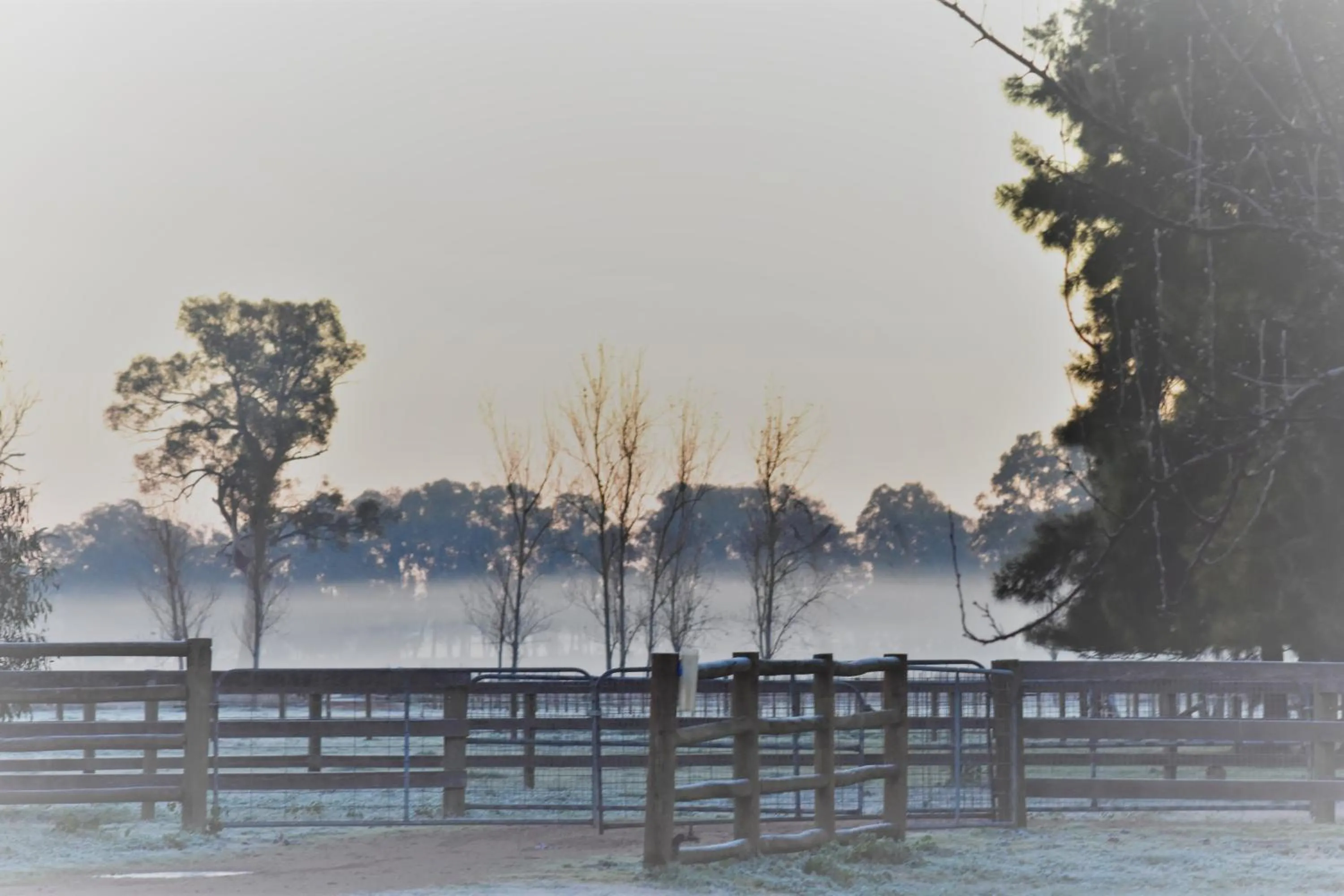 Winter in King River Cottage