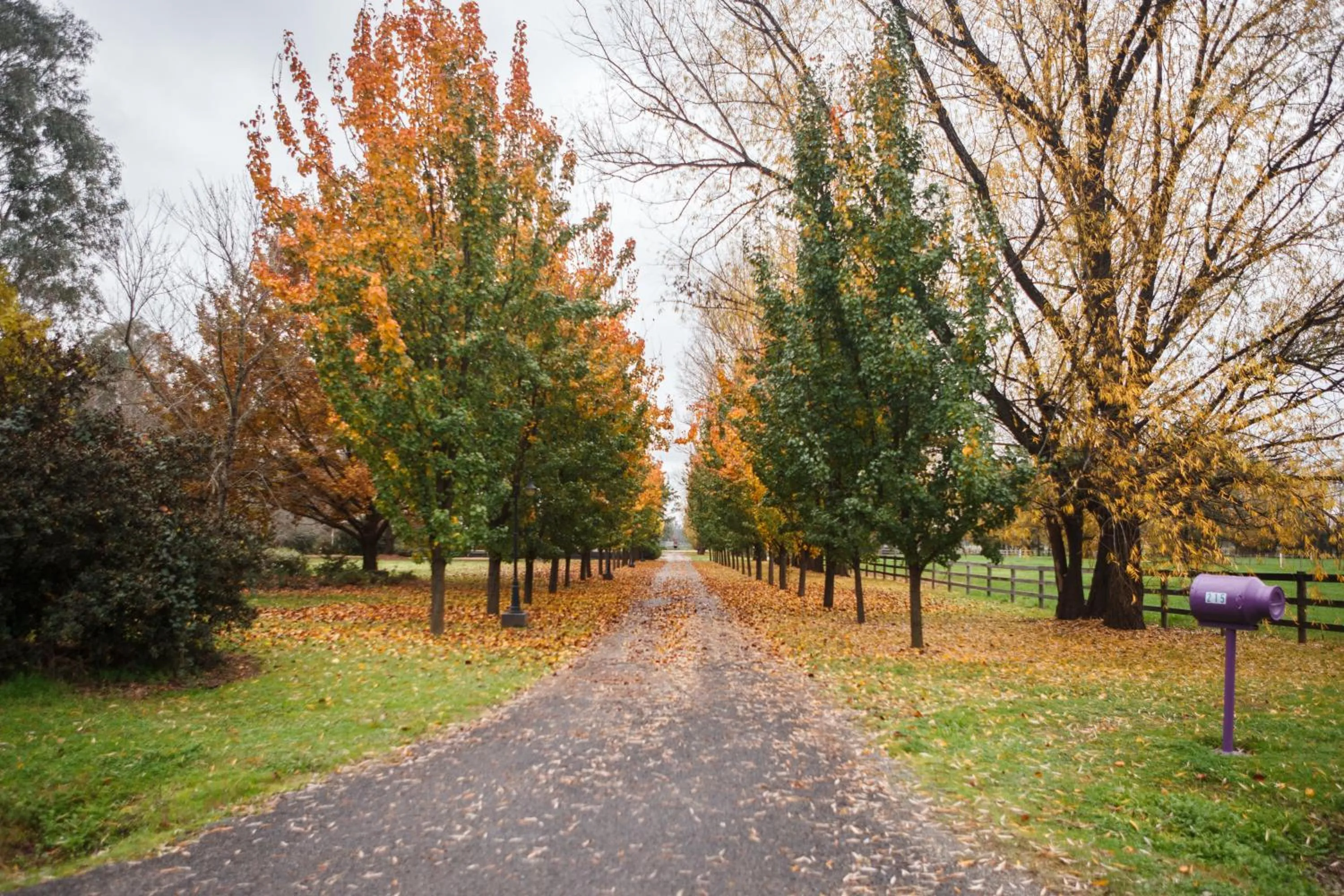 Garden in King River Cottage