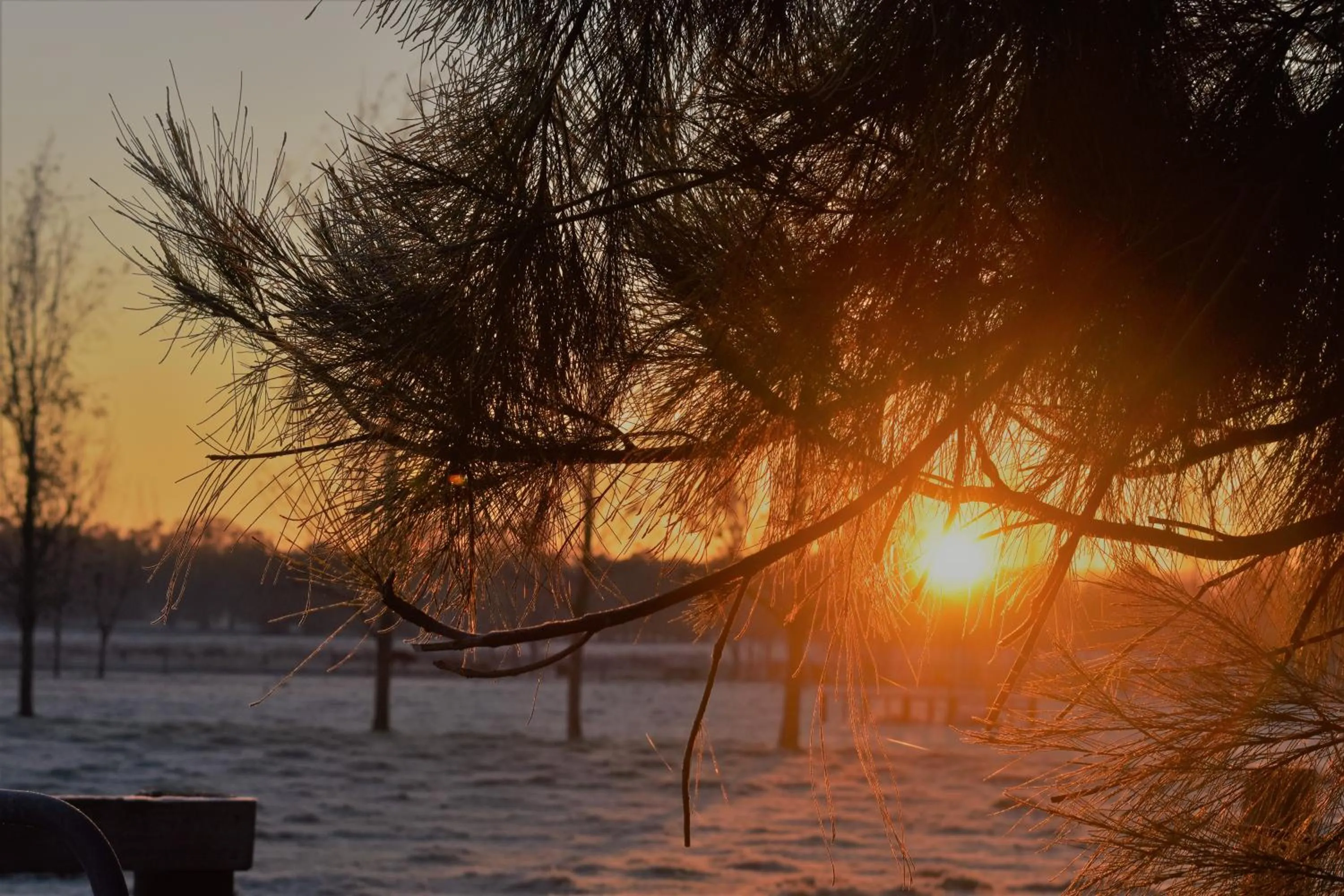 Sunrise in King River Cottage