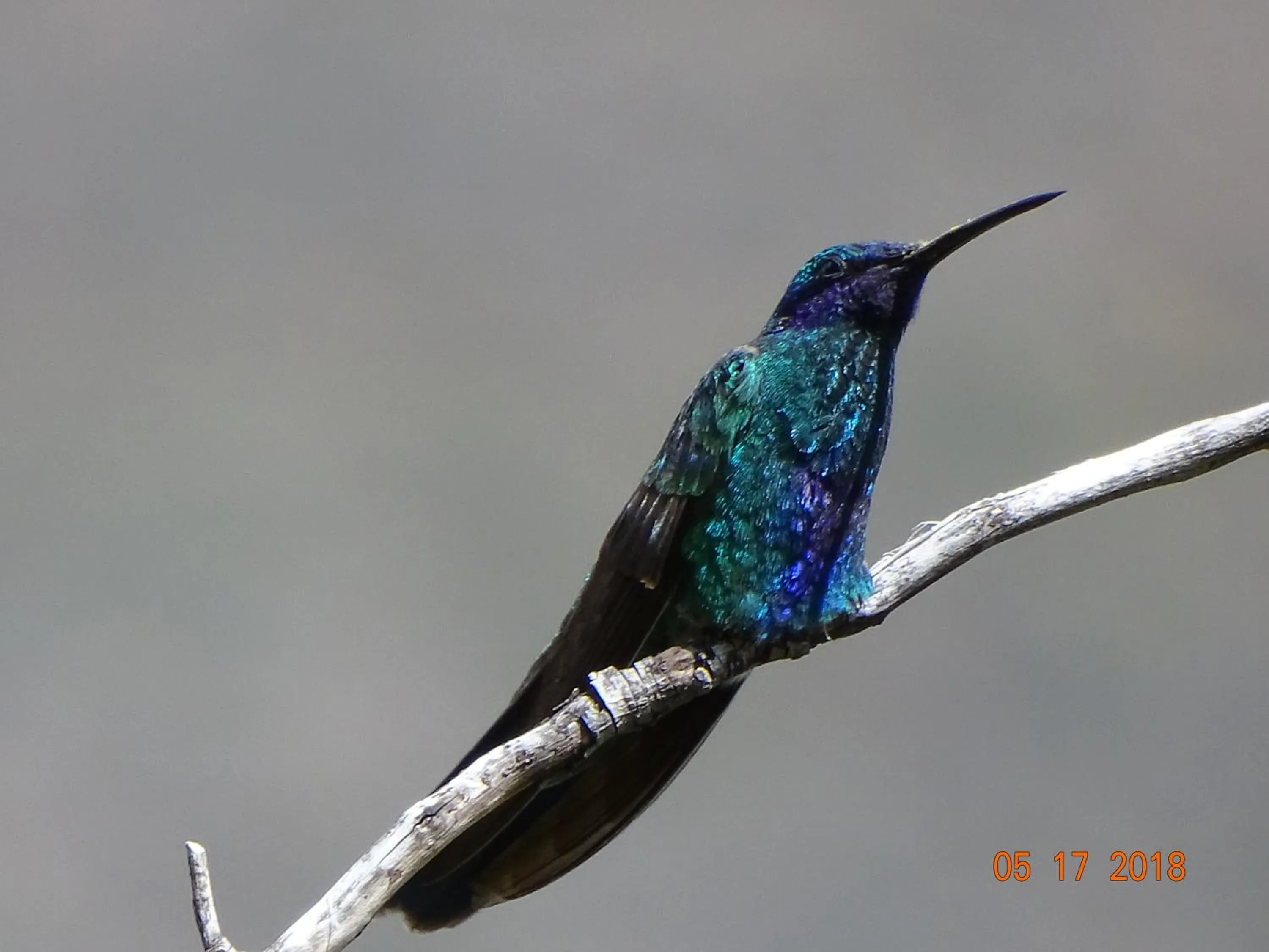 Bird's eye view in Departamentos Bellavista La Alborada Huaraz