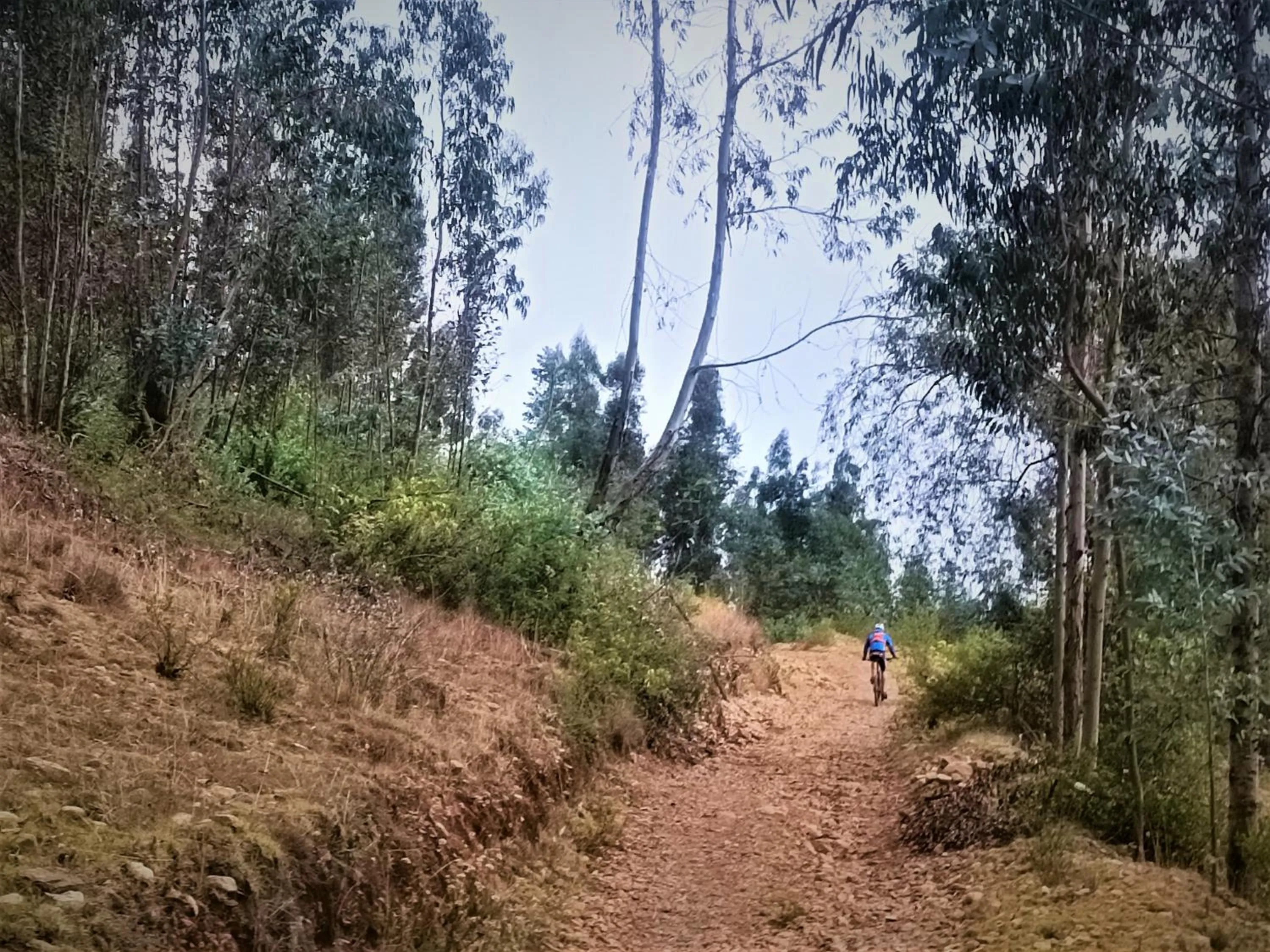 Hiking in Departamentos Bellavista La Alborada Huaraz