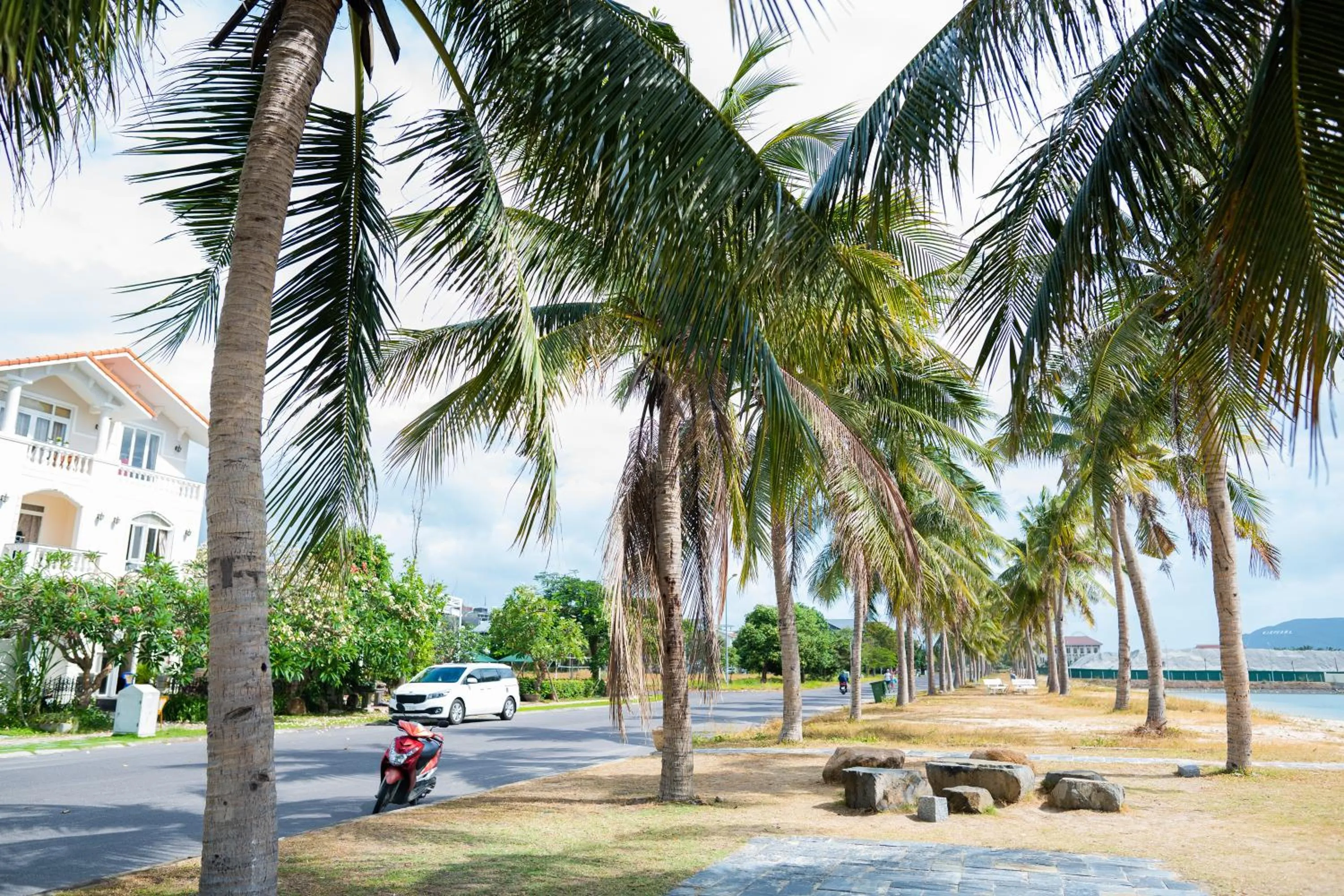 Natural landscape in Orbit Hotel Nha Trang