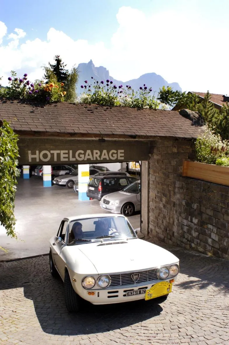 Area and facilities in Parc Hotel Tyrol