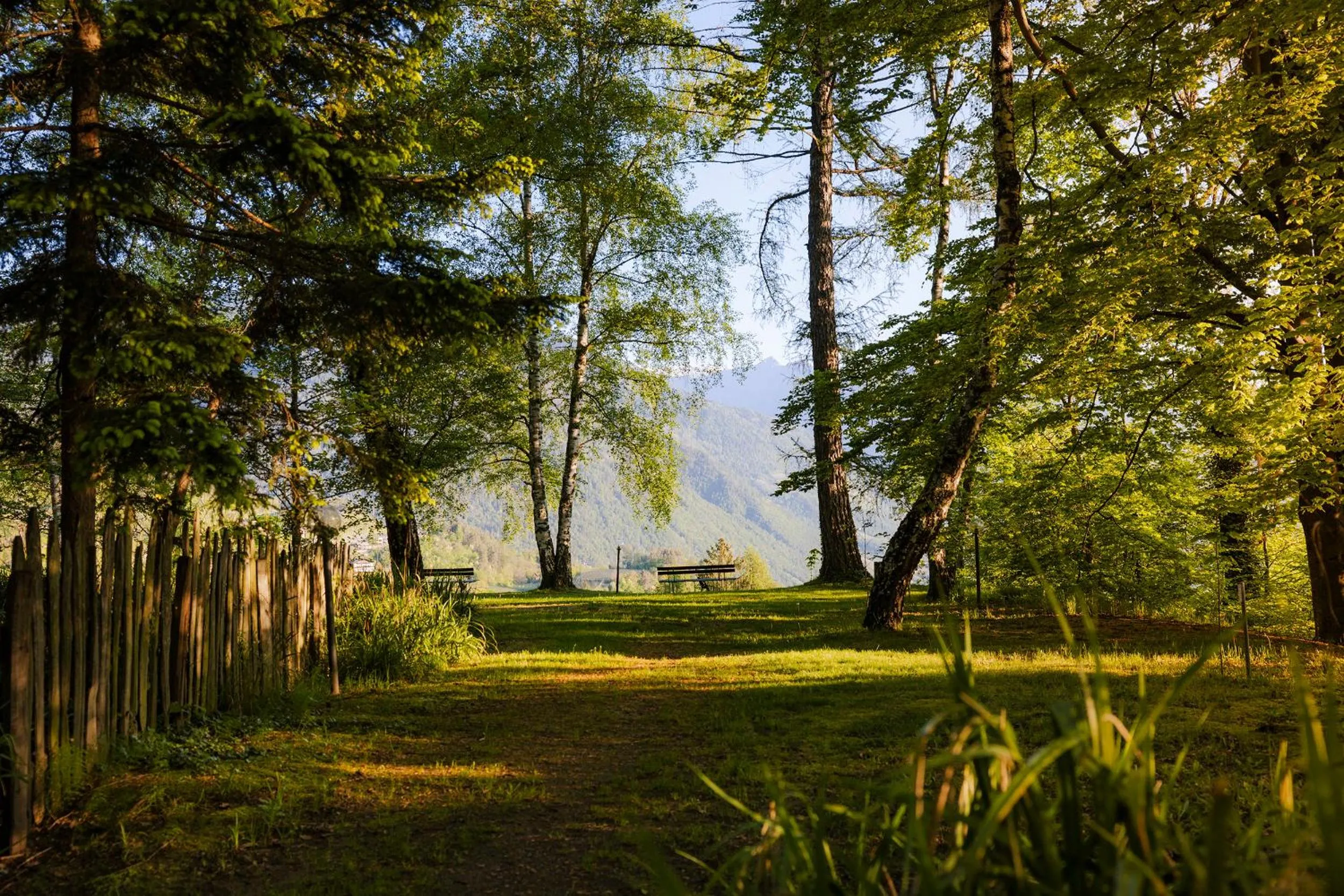 Nearby landmark in Hotel Der Waldhof