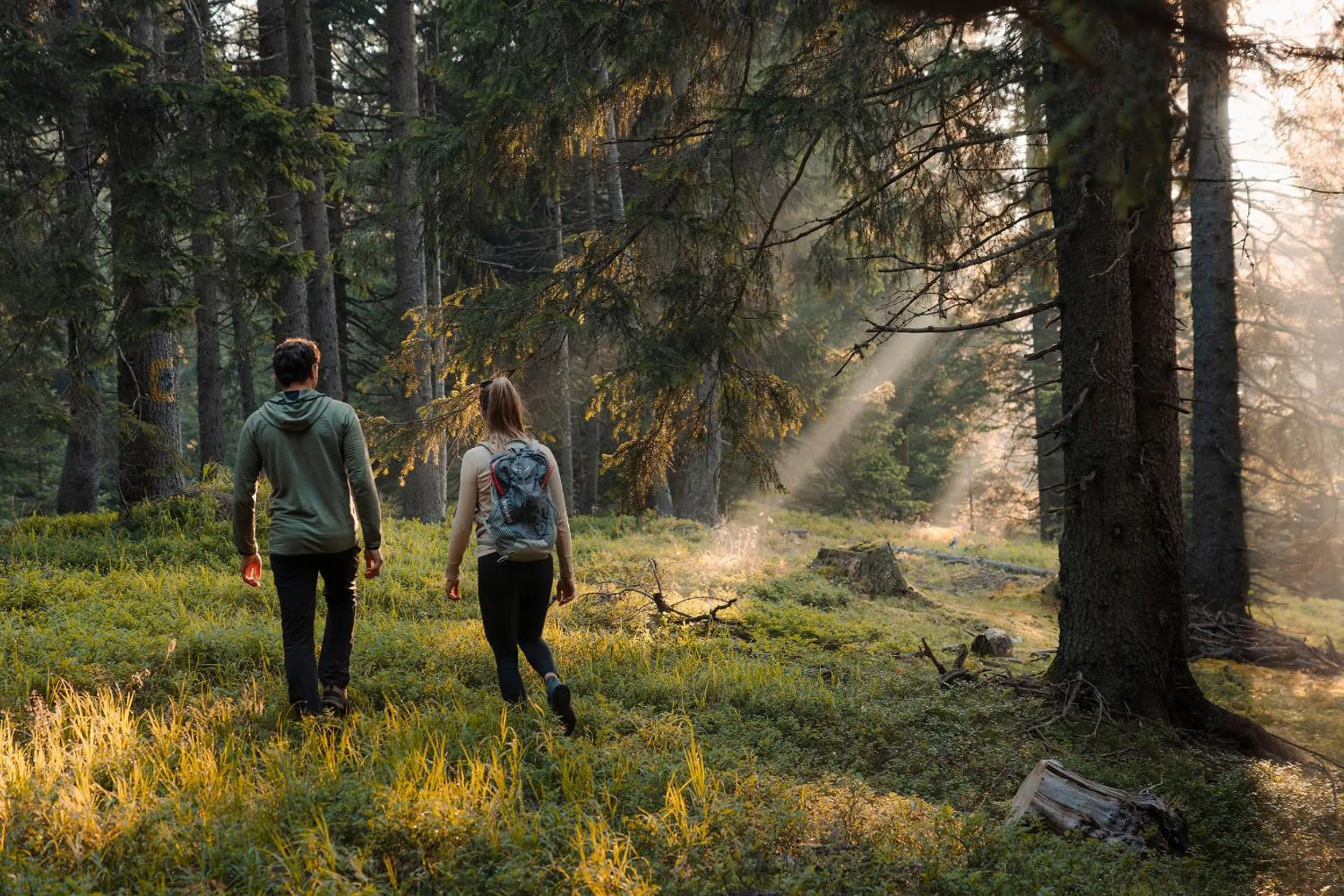 Summer in Hotel Der Waldhof