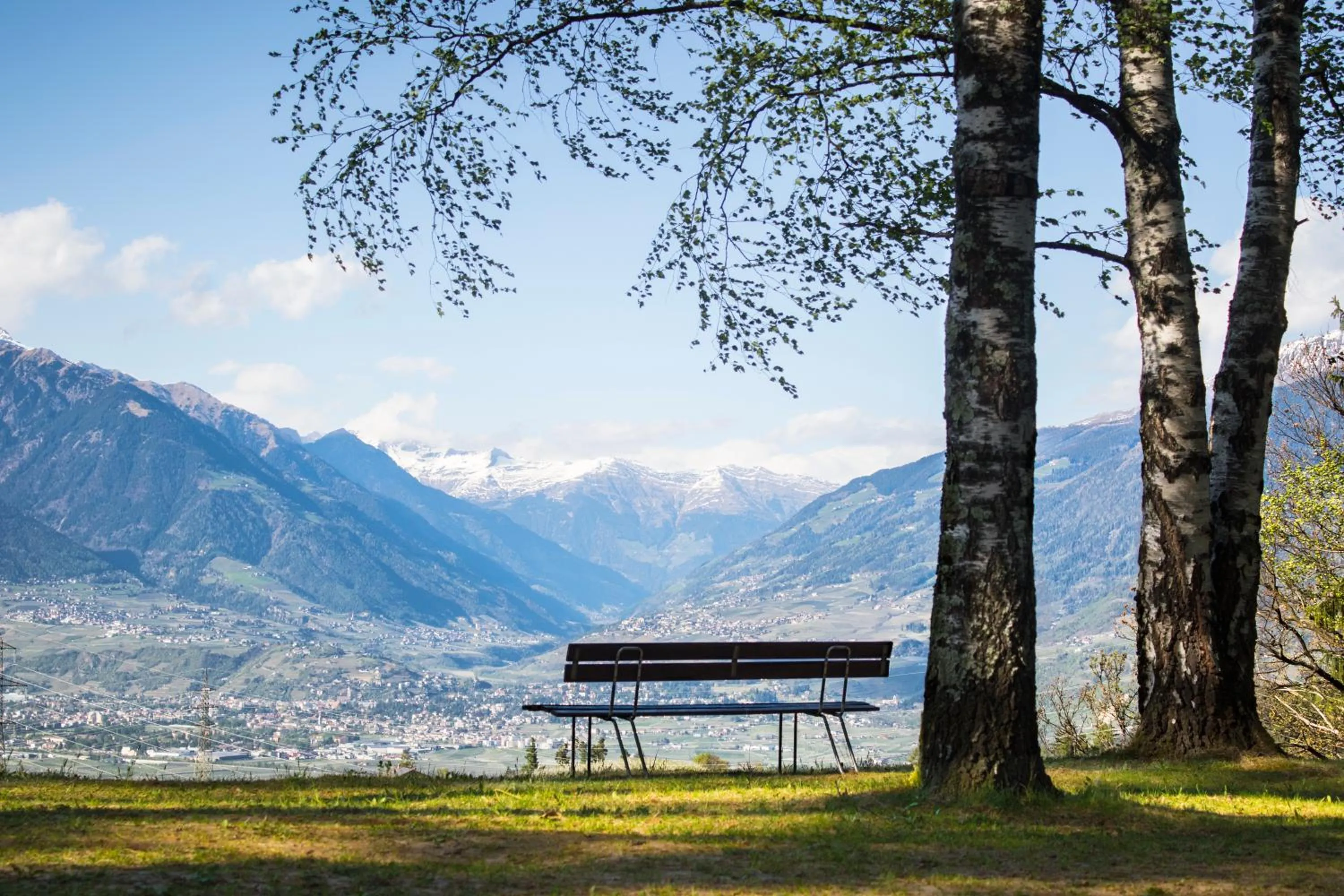 City view in Der Waldhof
