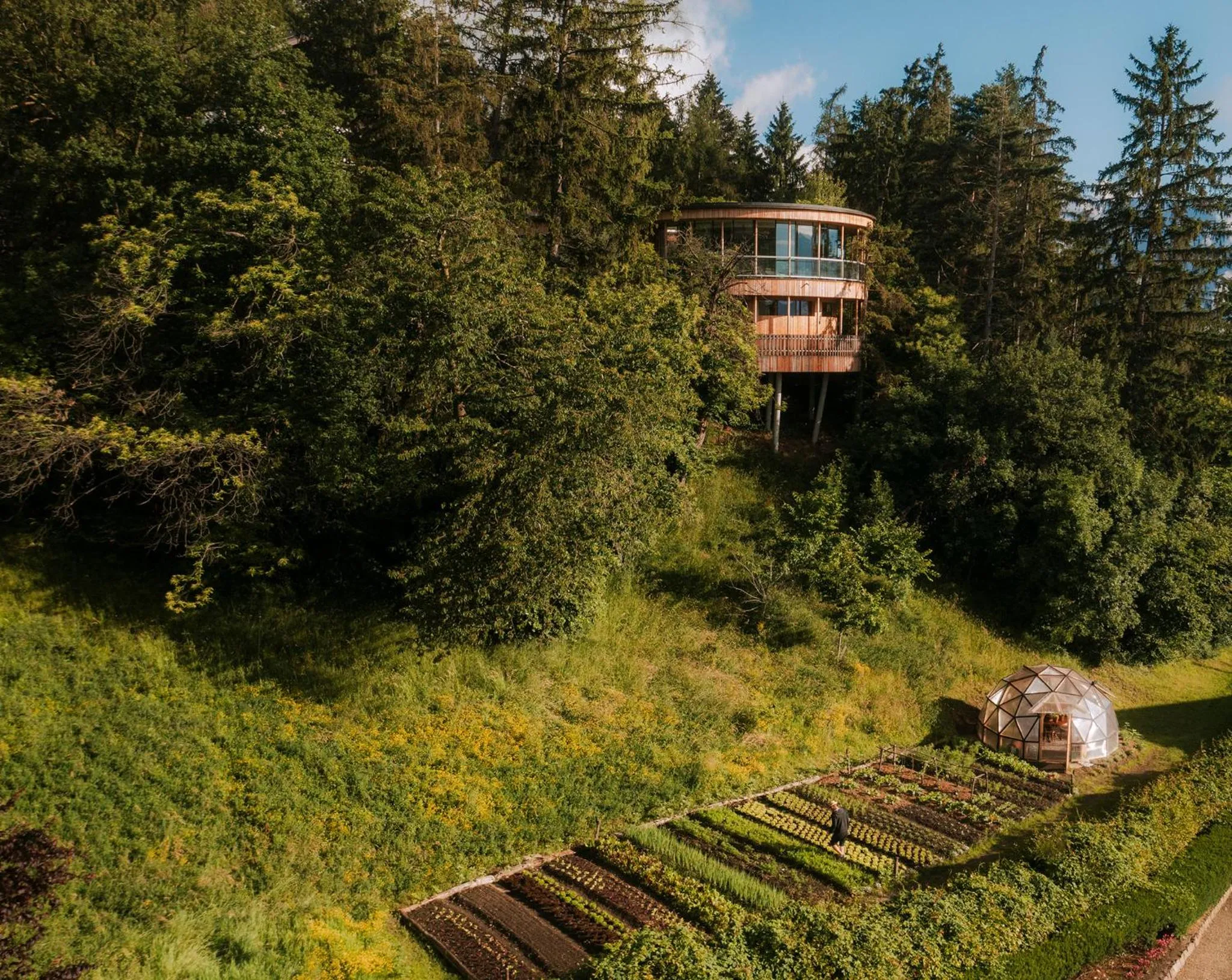 Bird's eye view in Hotel Der Waldhof